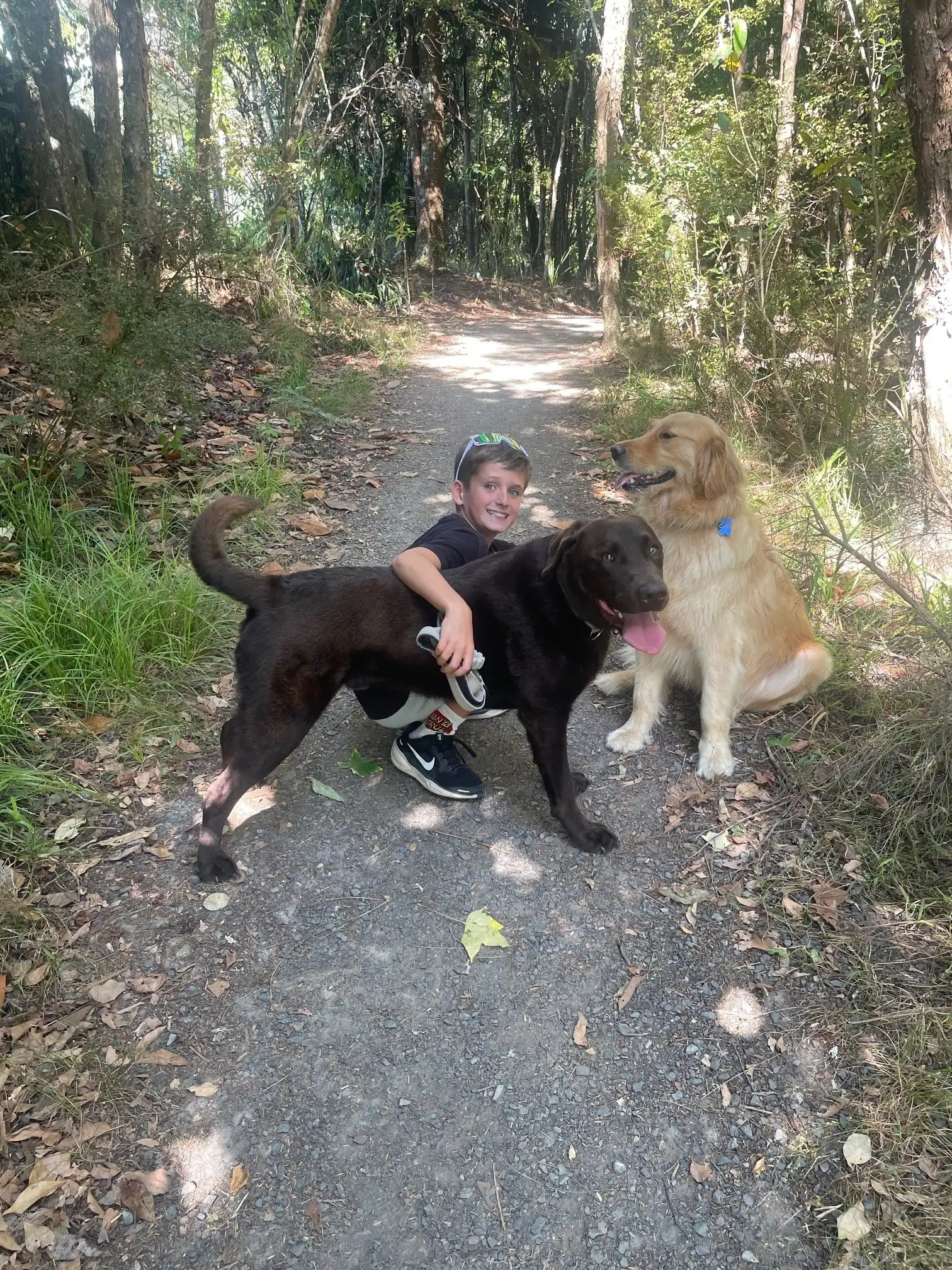 image-11