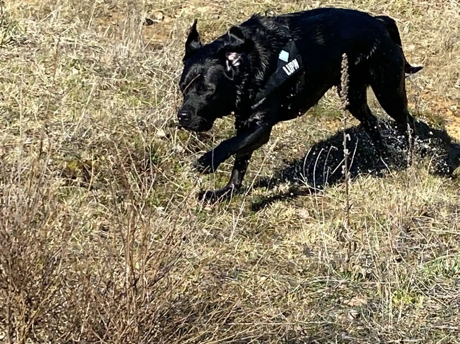 image-12