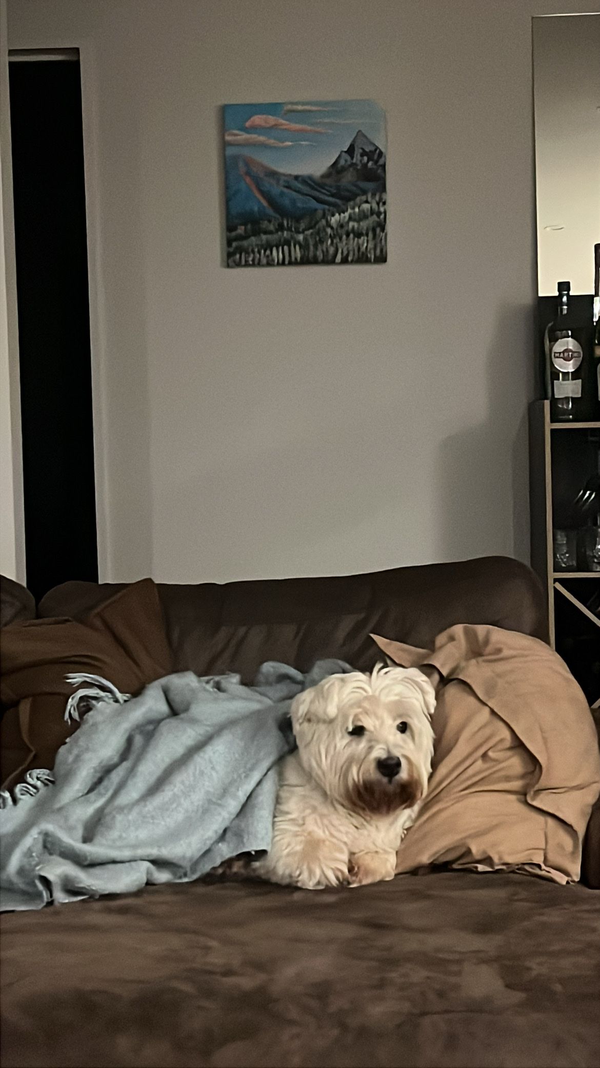image-6