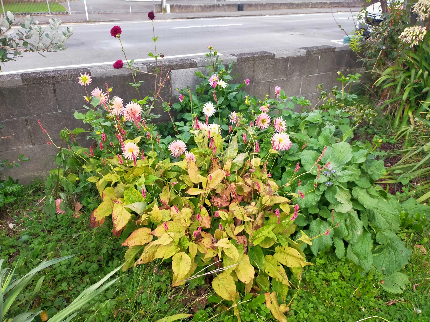 image-15