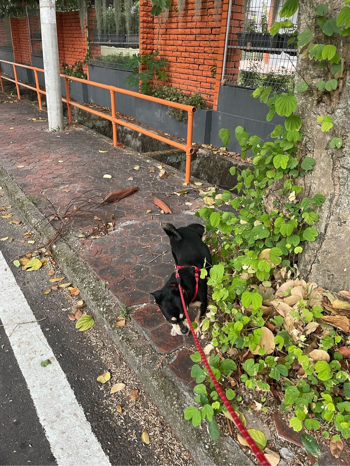 image-5