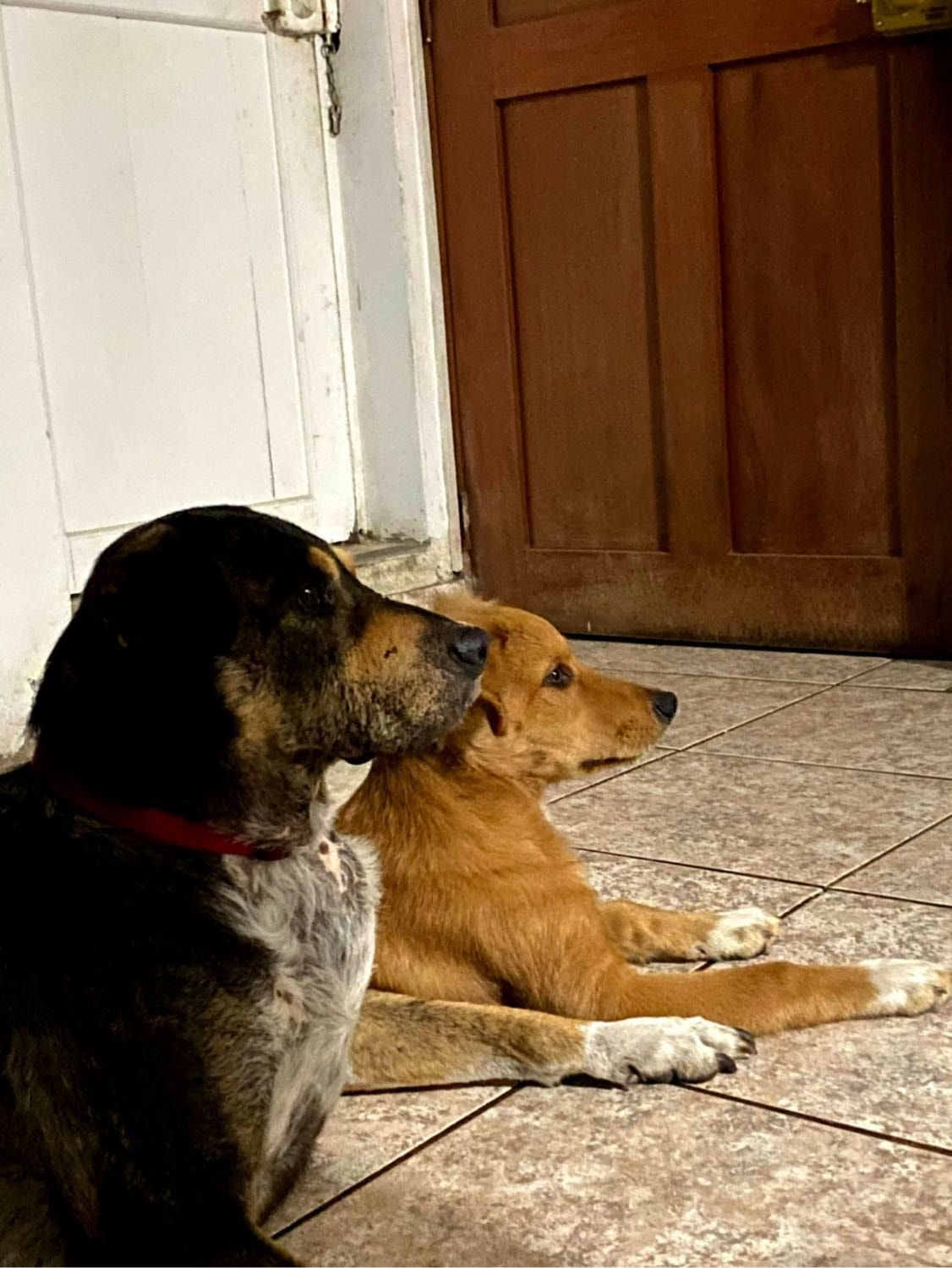 image-33