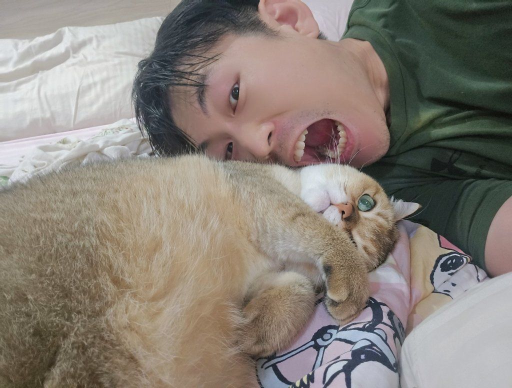 image-4