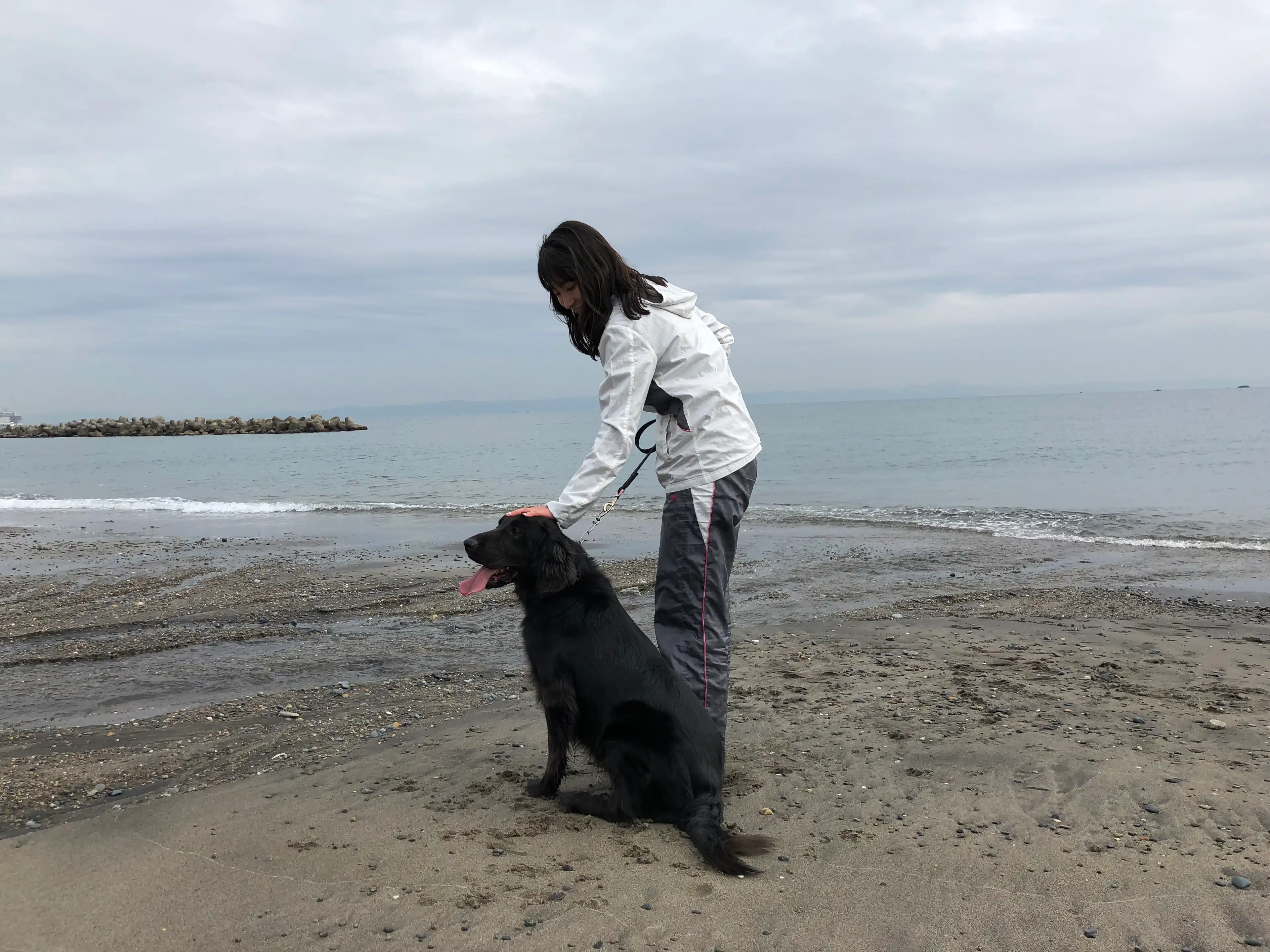 image-8