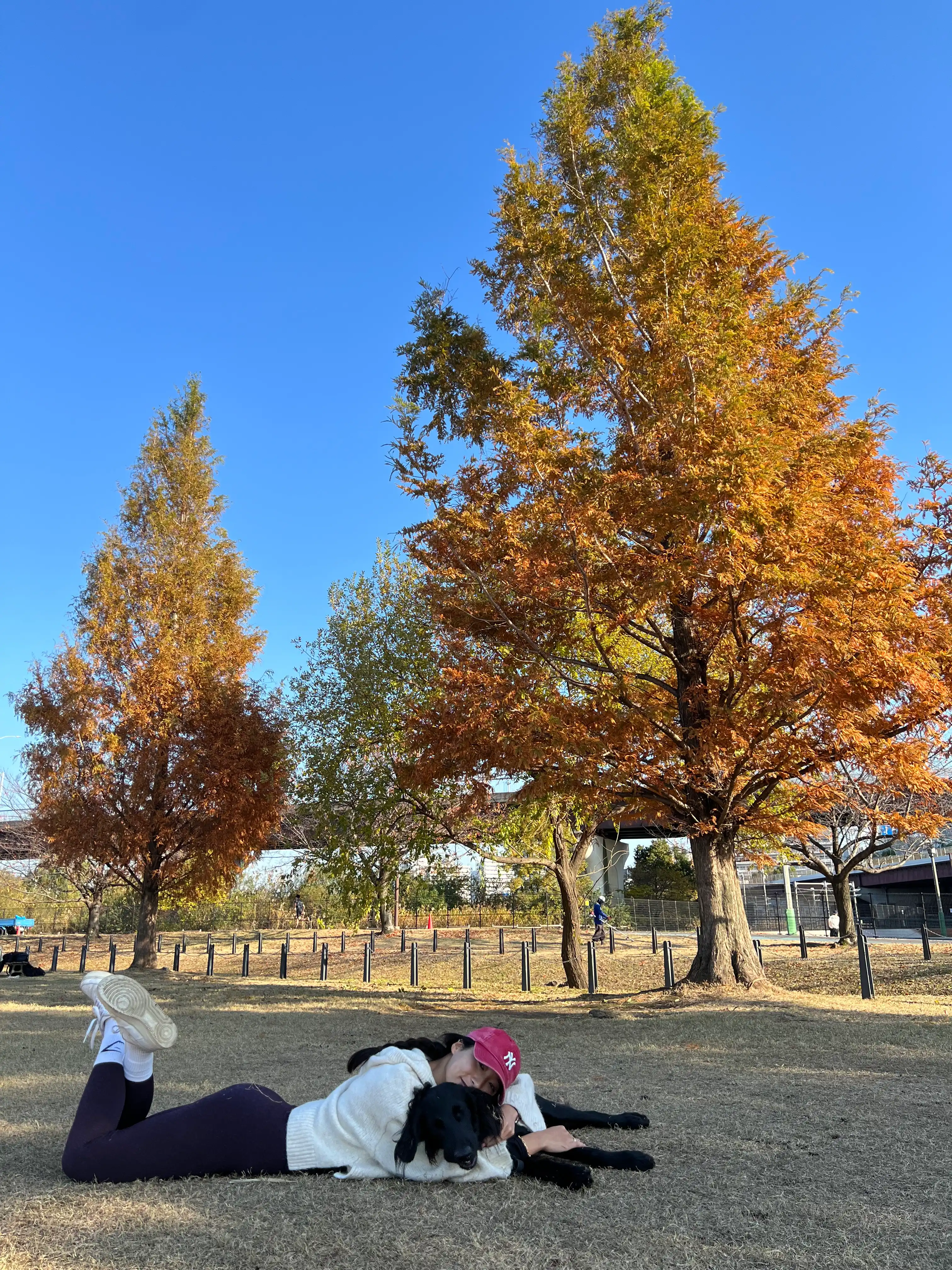 image-13