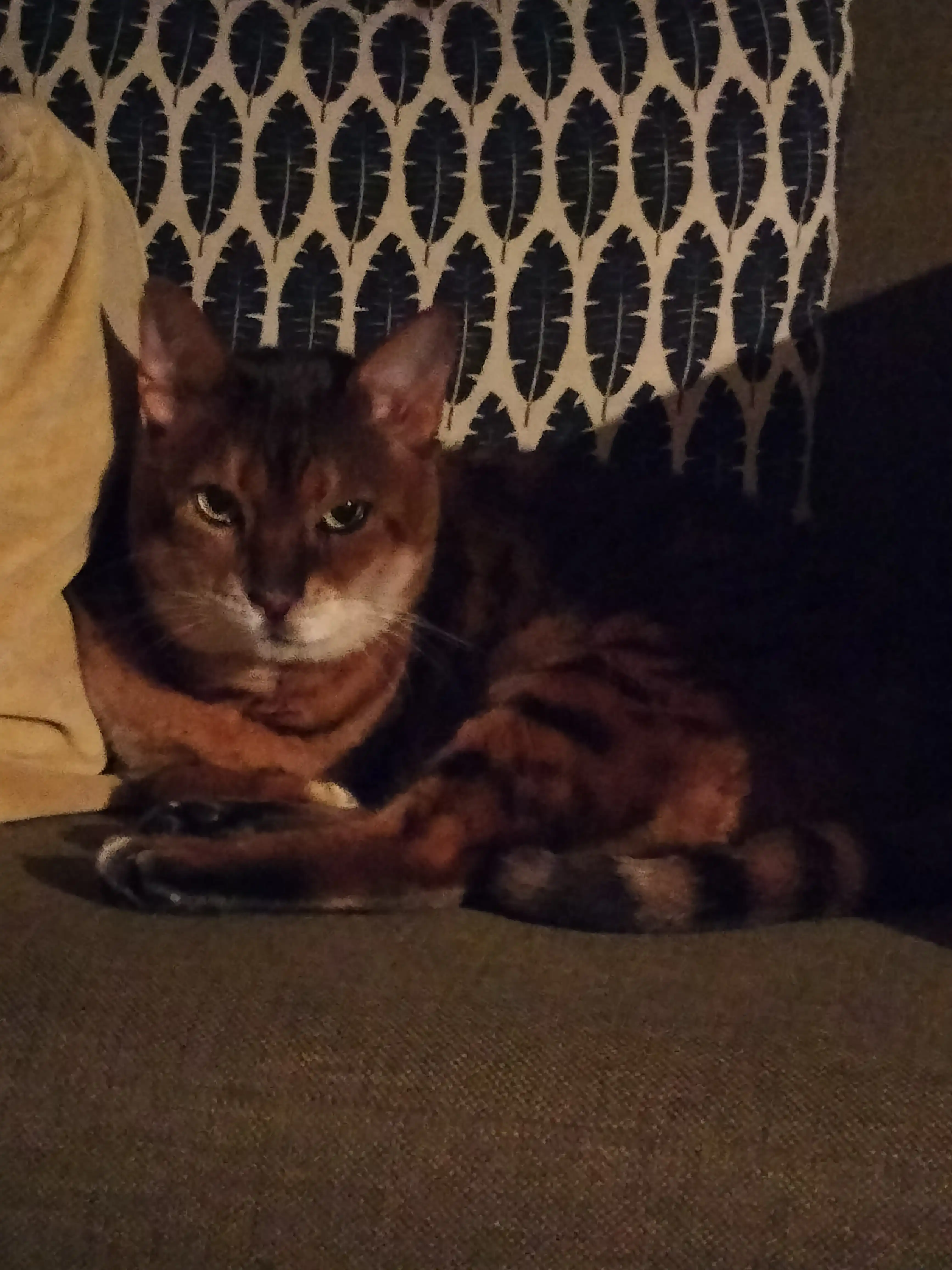 image-6