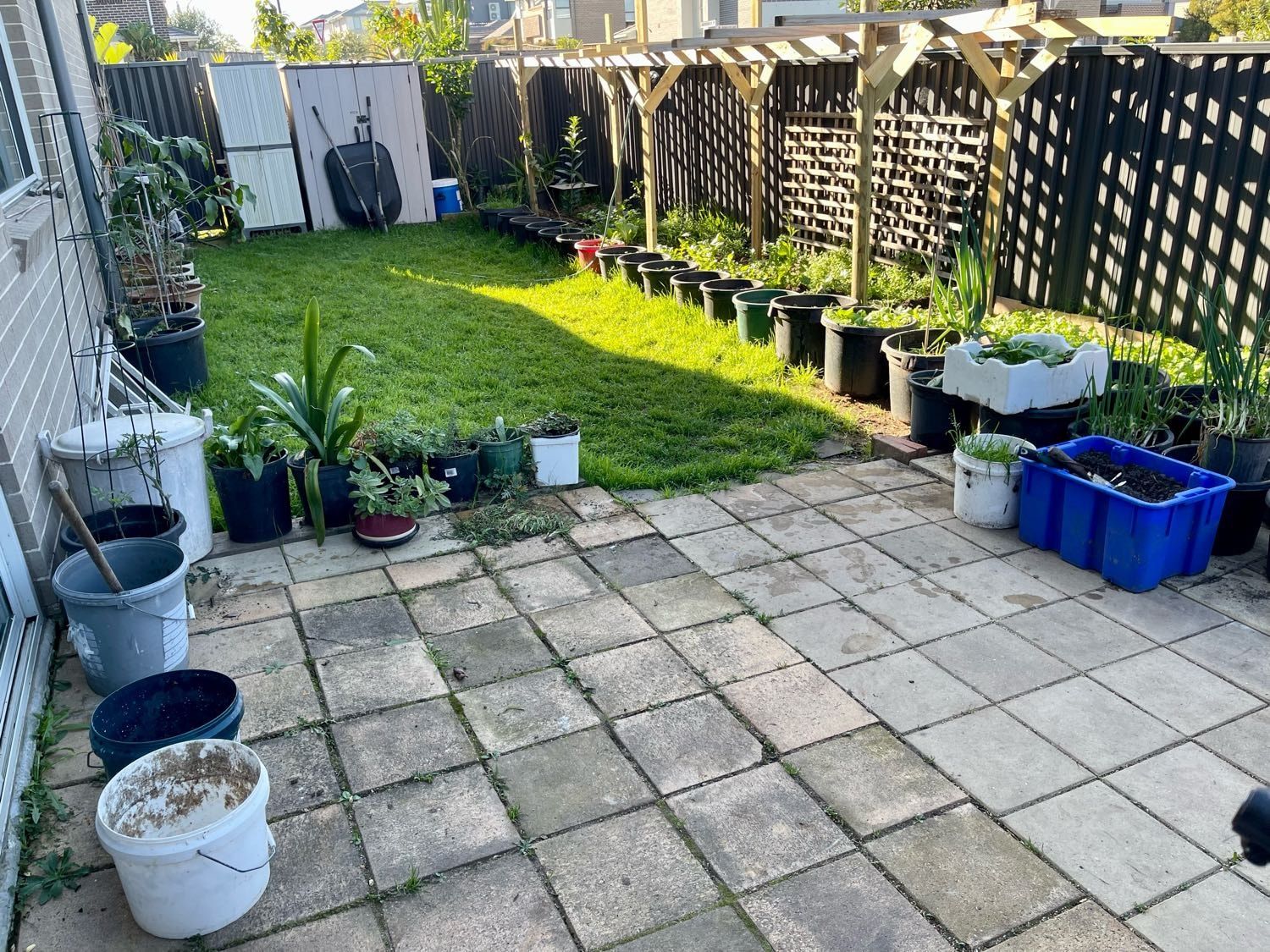 image-10