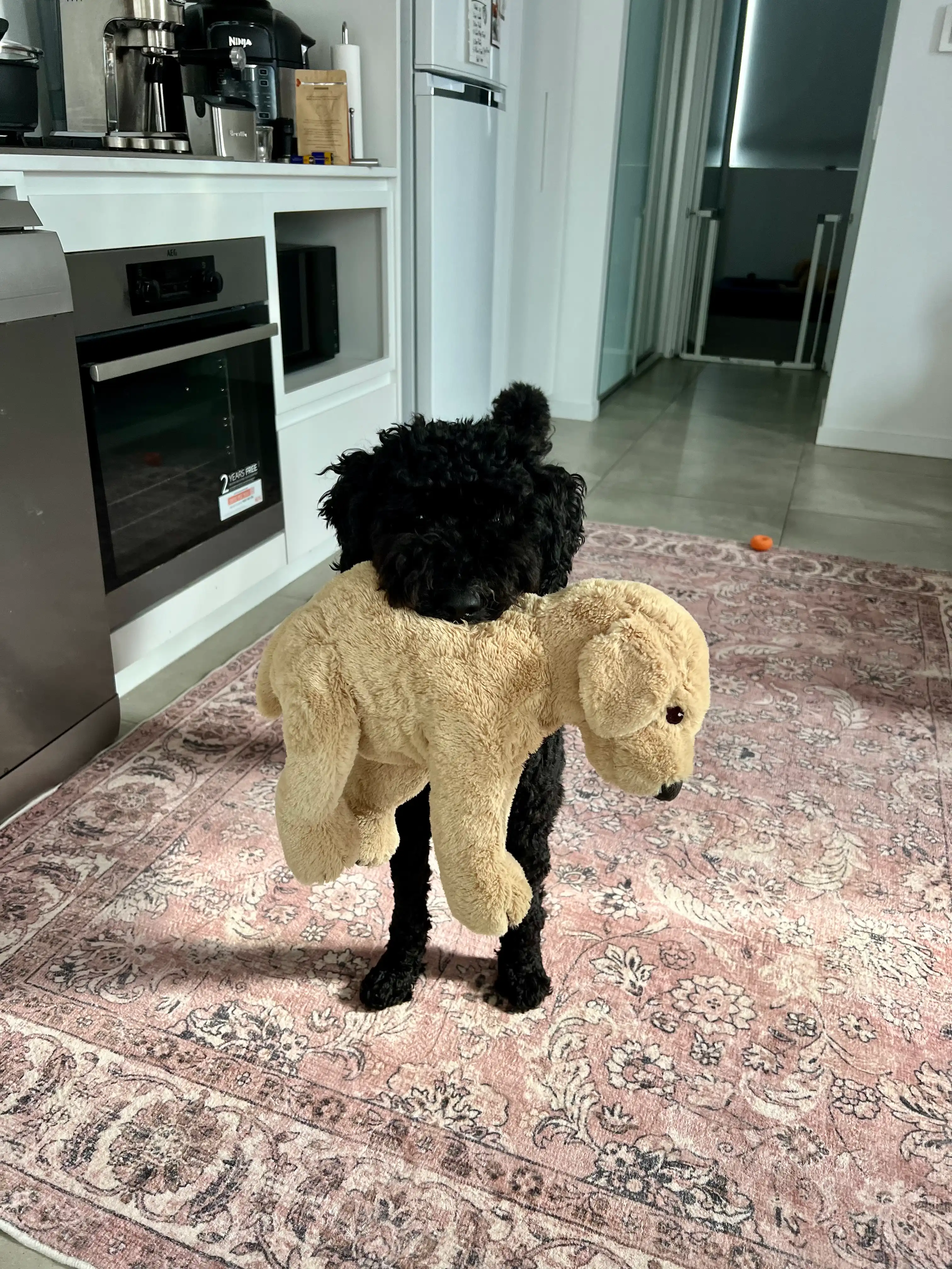 image-10