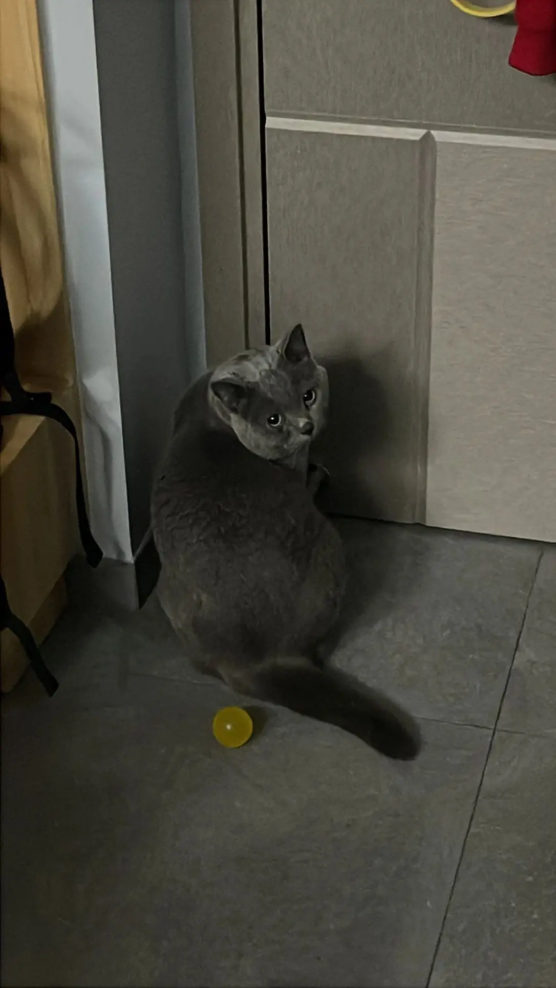 image-3