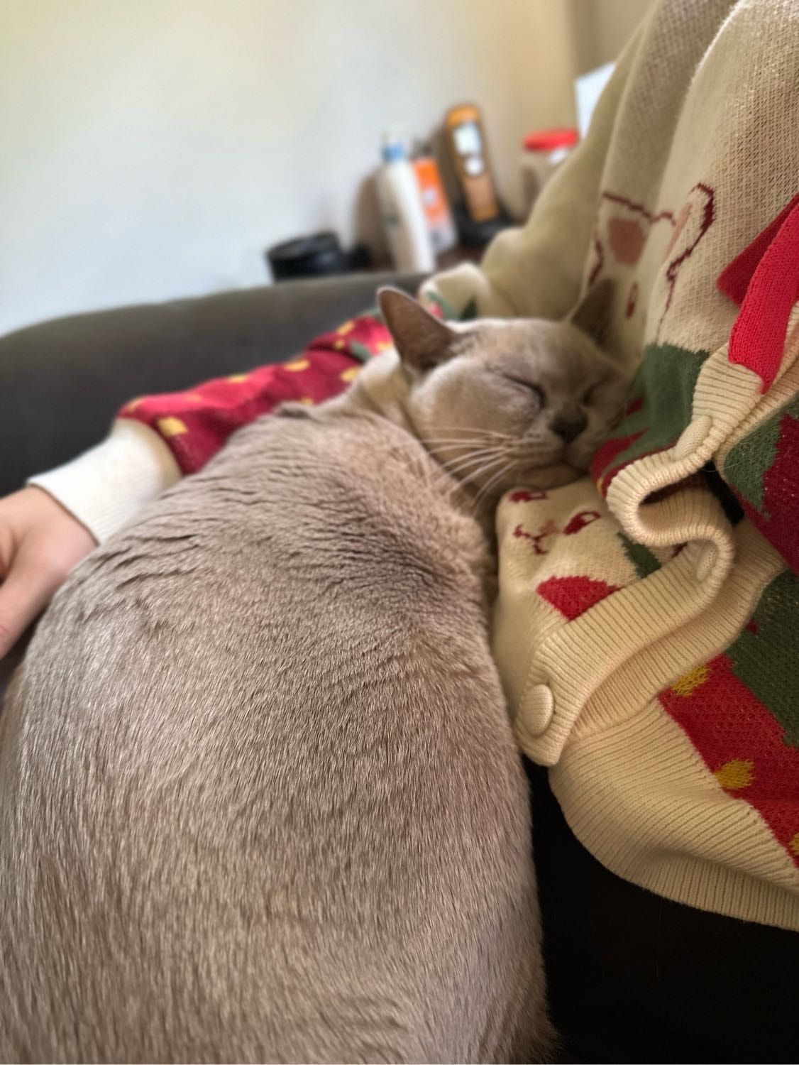 image-6