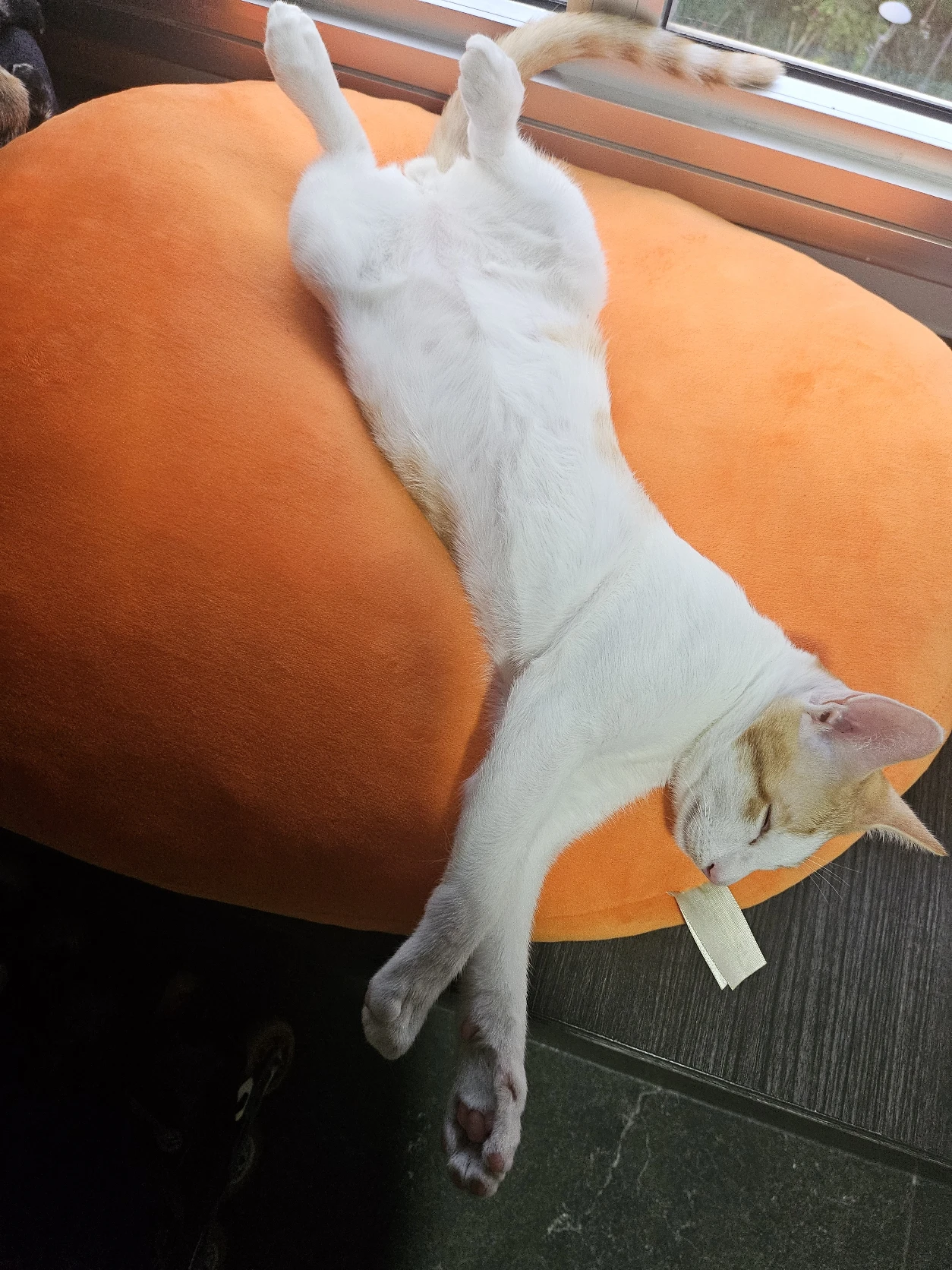 image-6