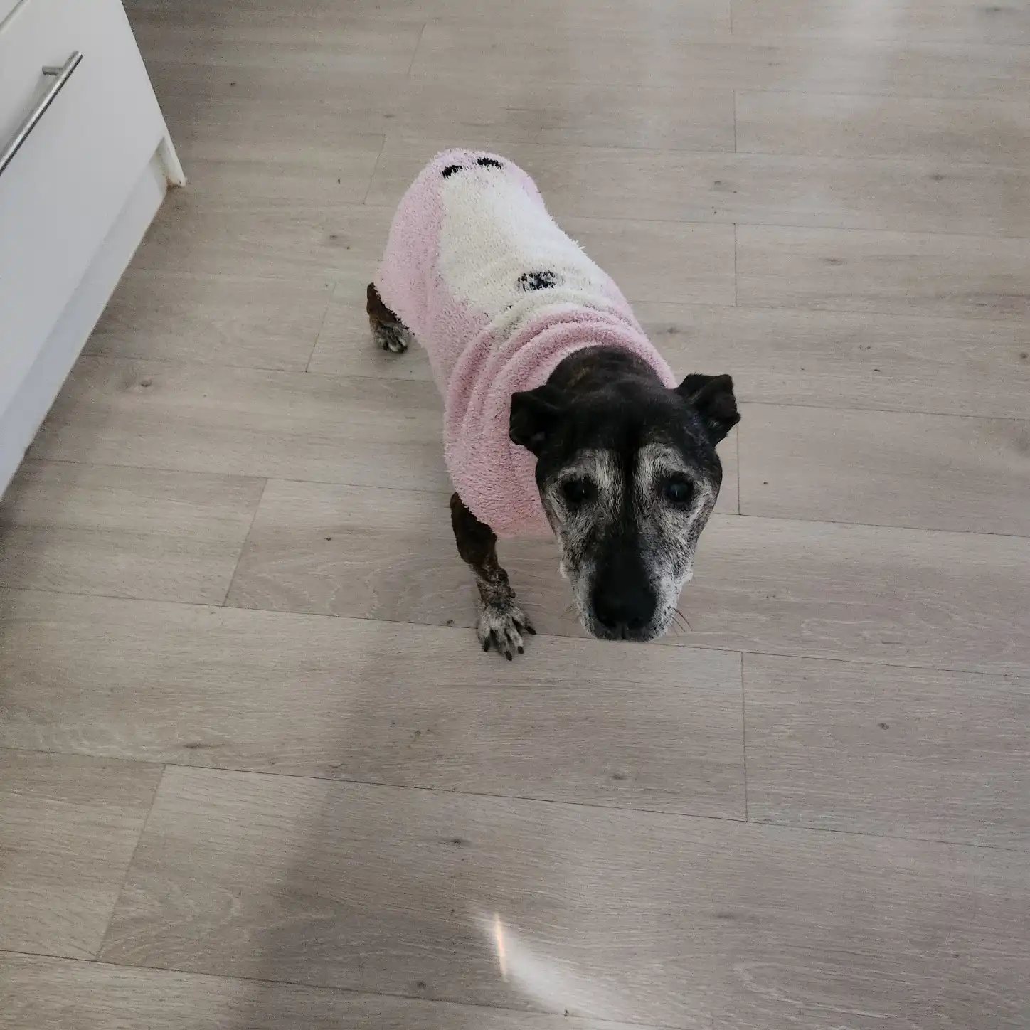 image-17