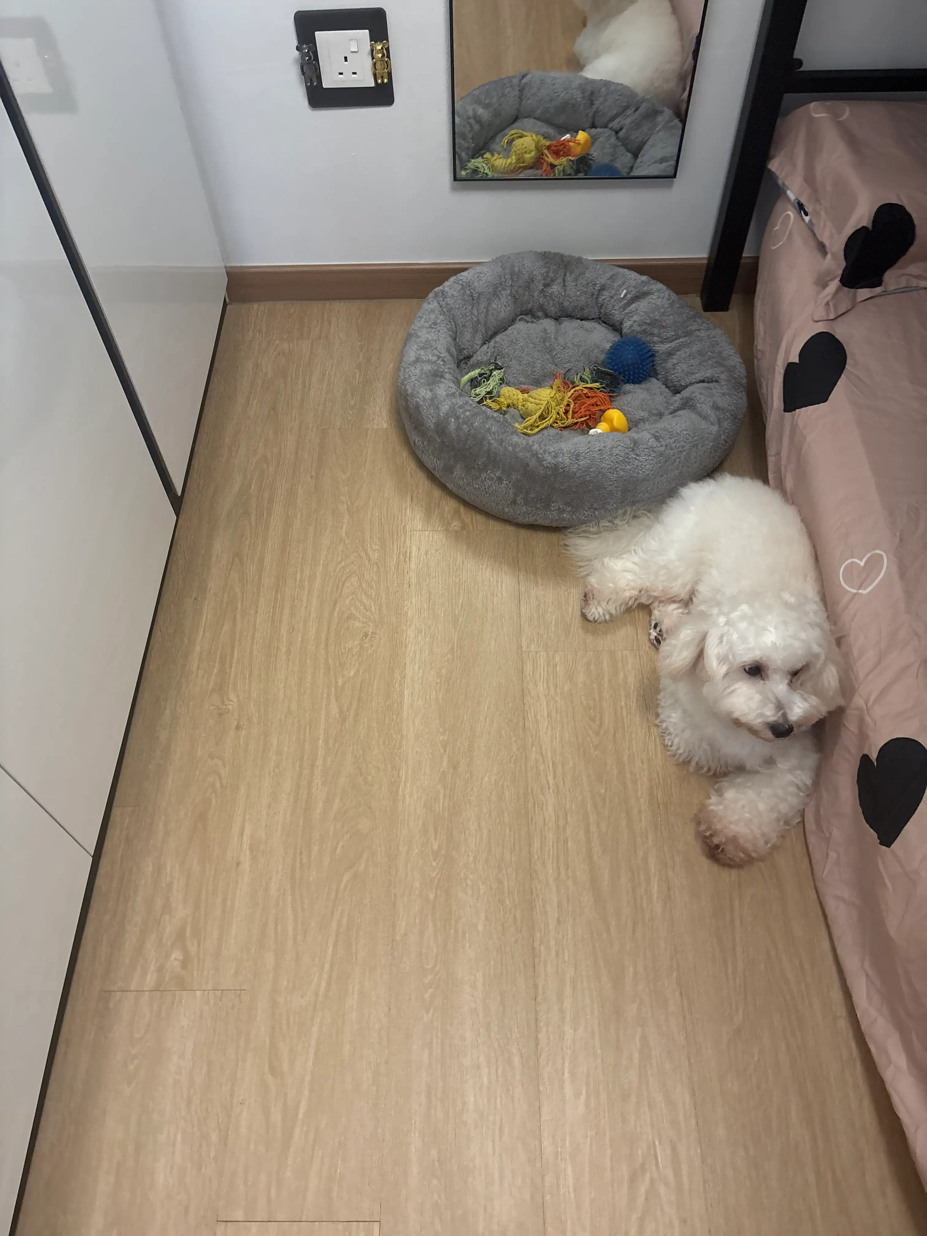 image-12
