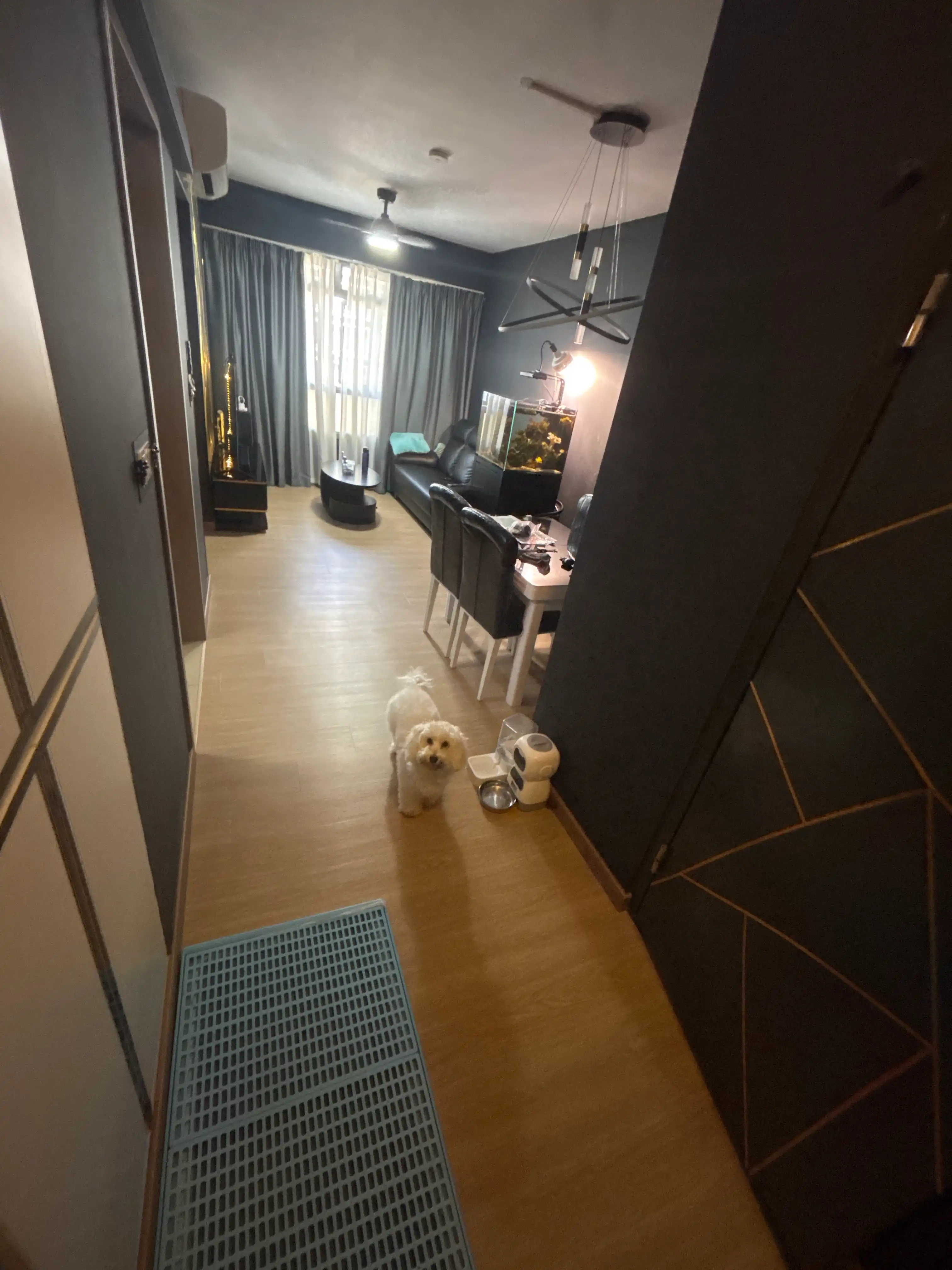 image-10