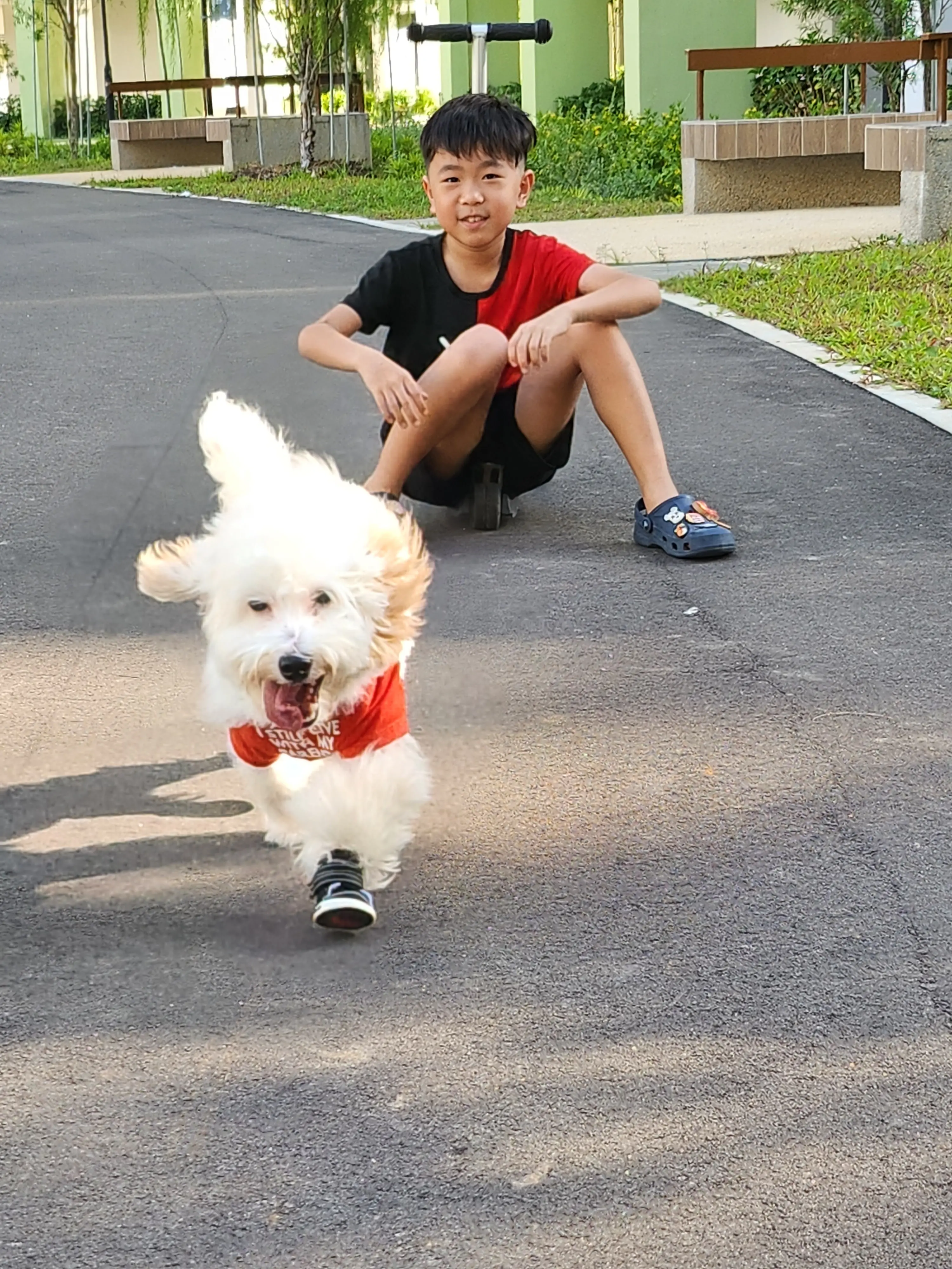image-3