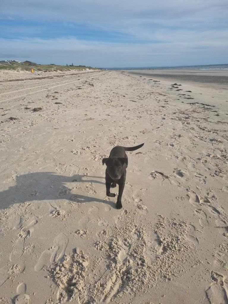 image-6