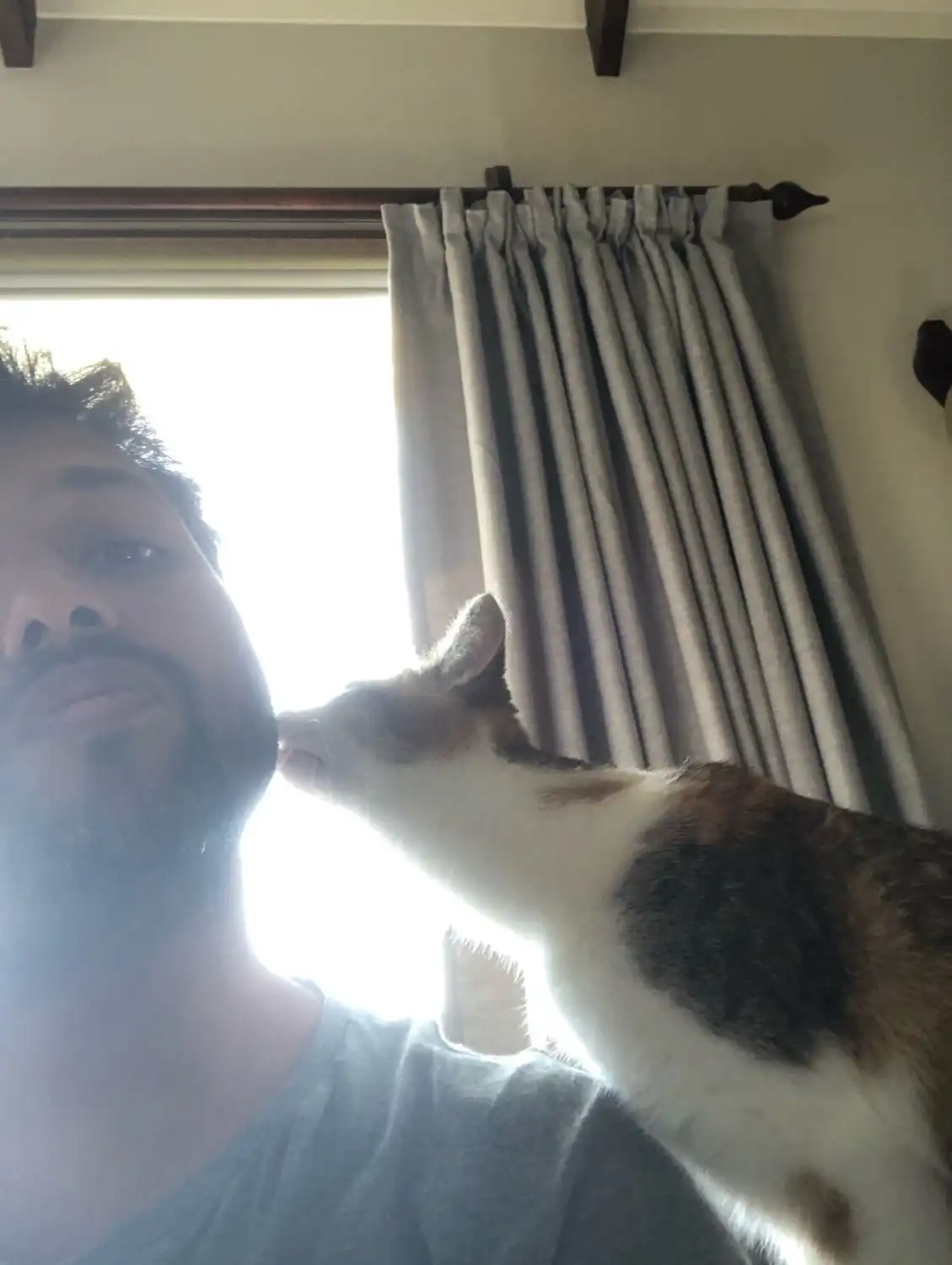 image-8