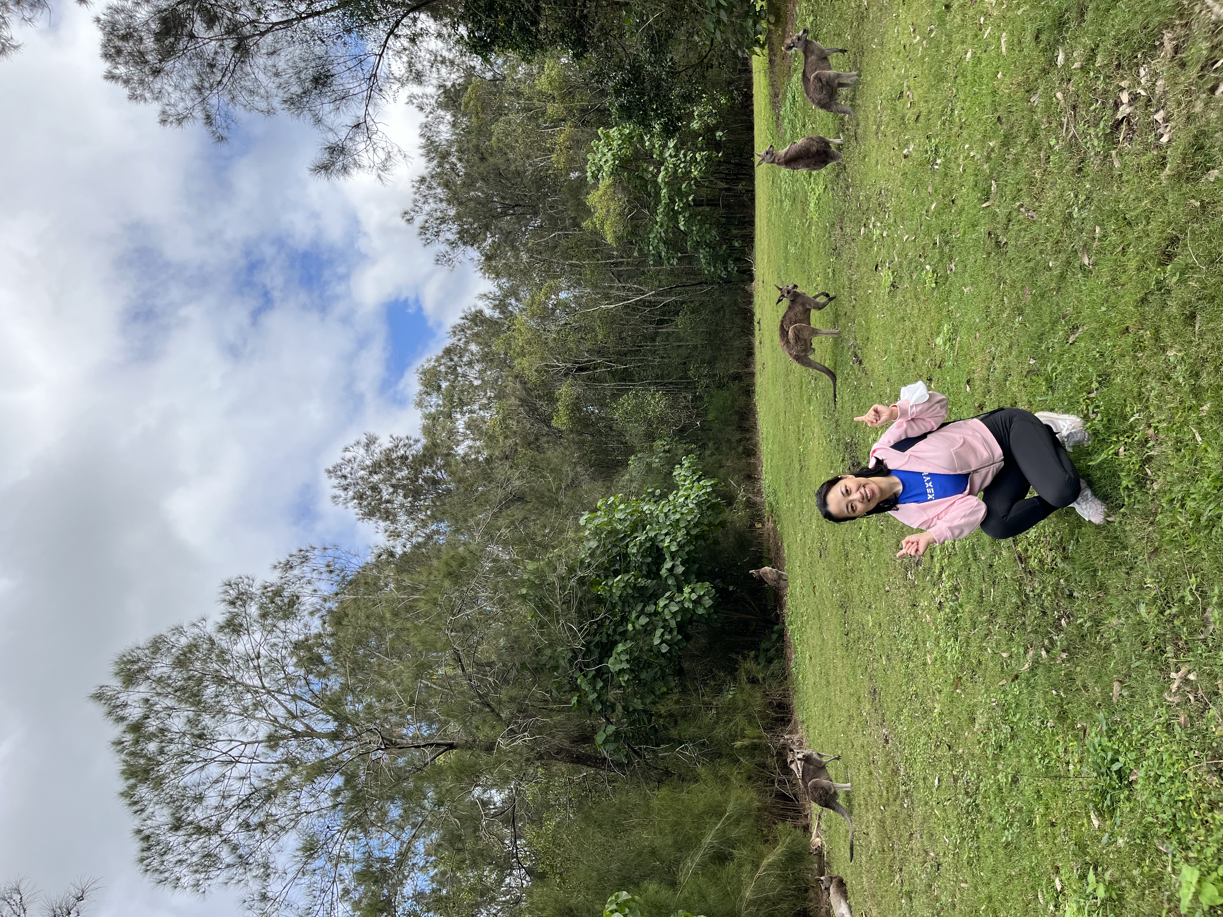 image-3