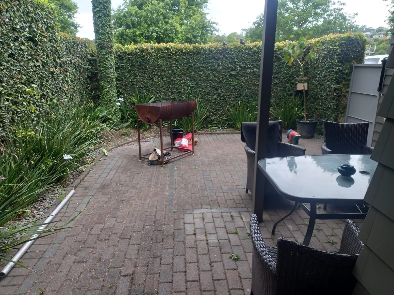 image-10