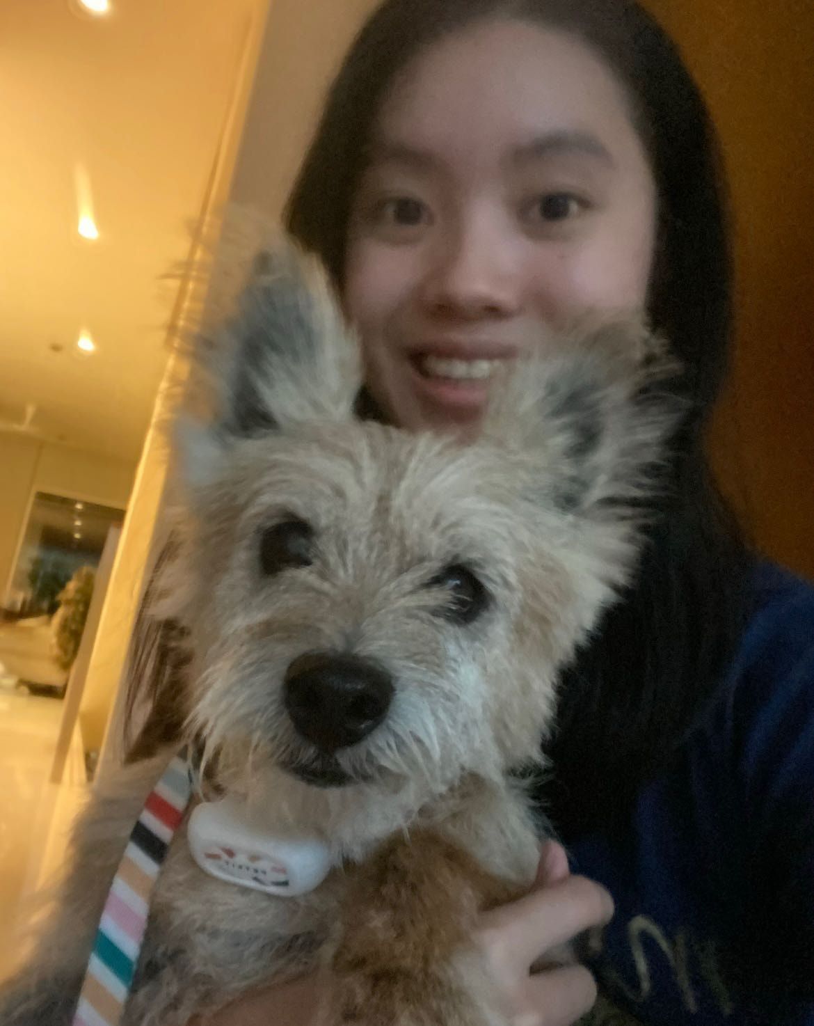 image-3