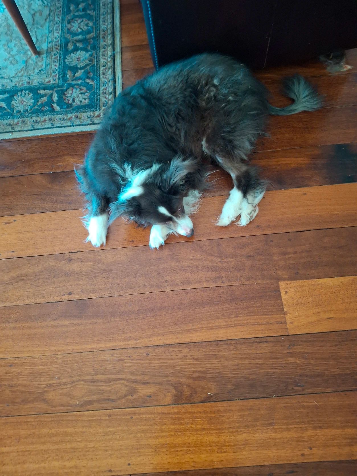 image-9