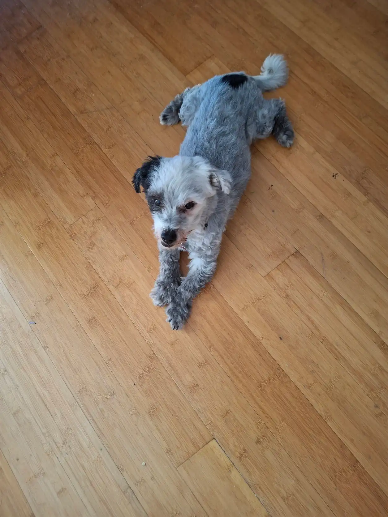 image-10