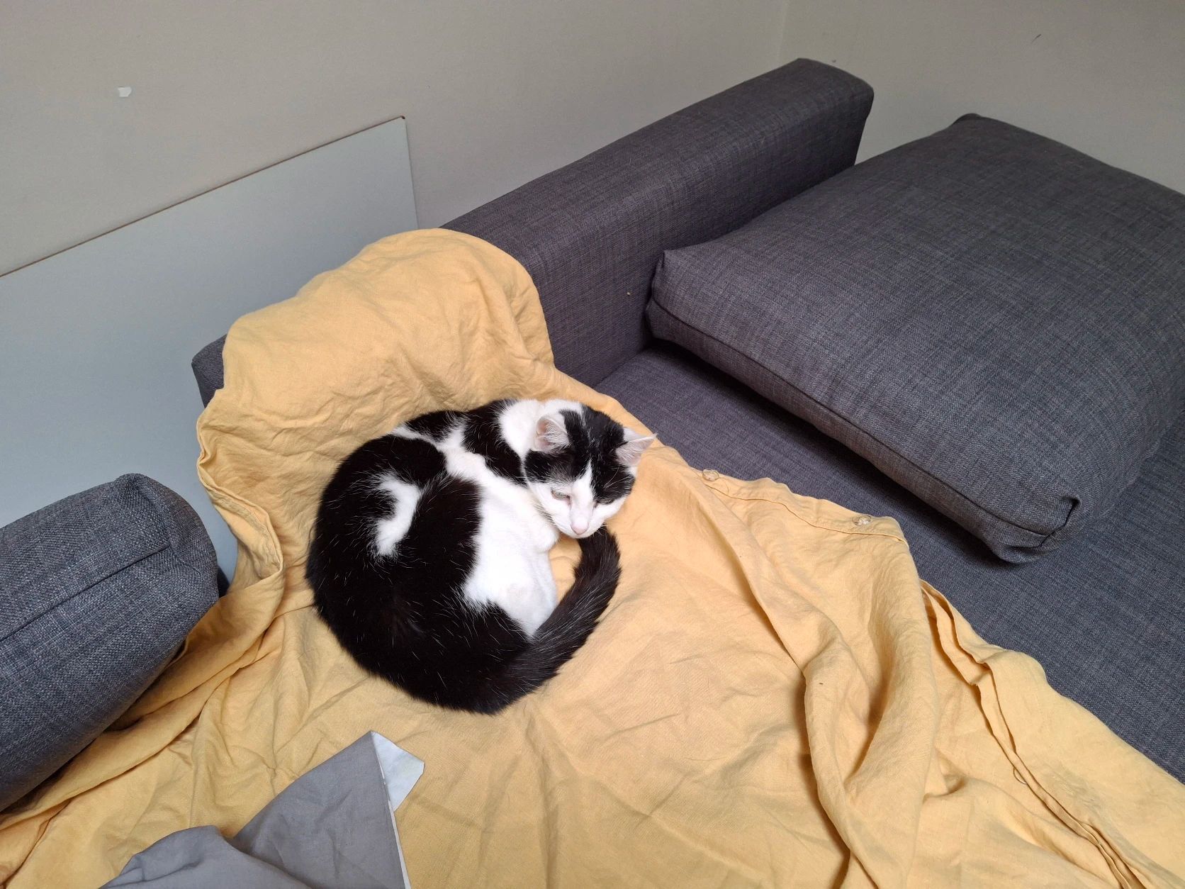 image-15