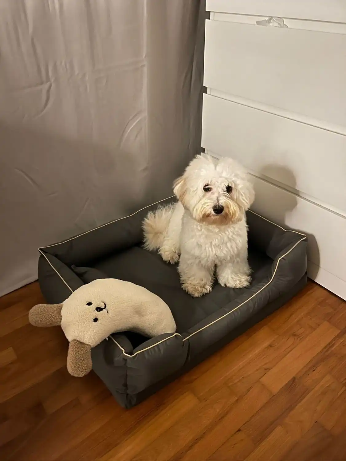 image-7