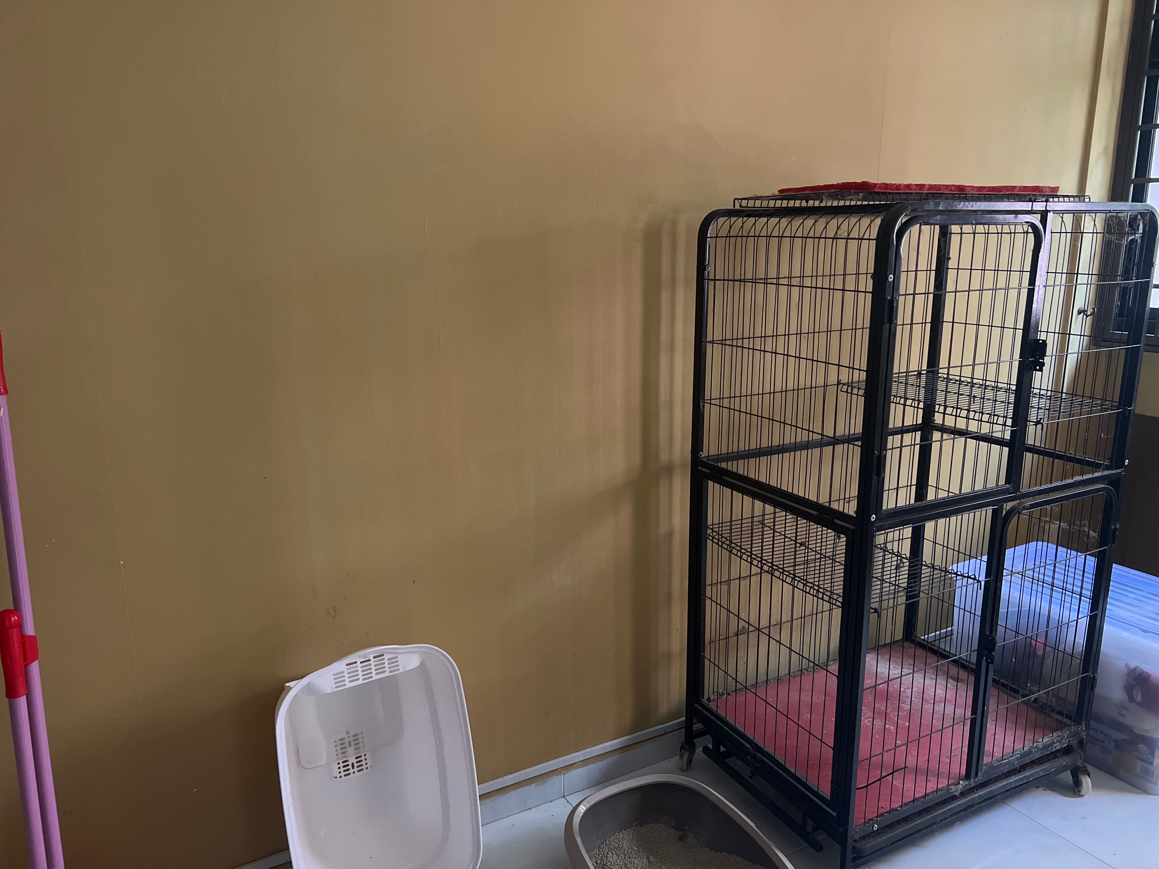 image-7