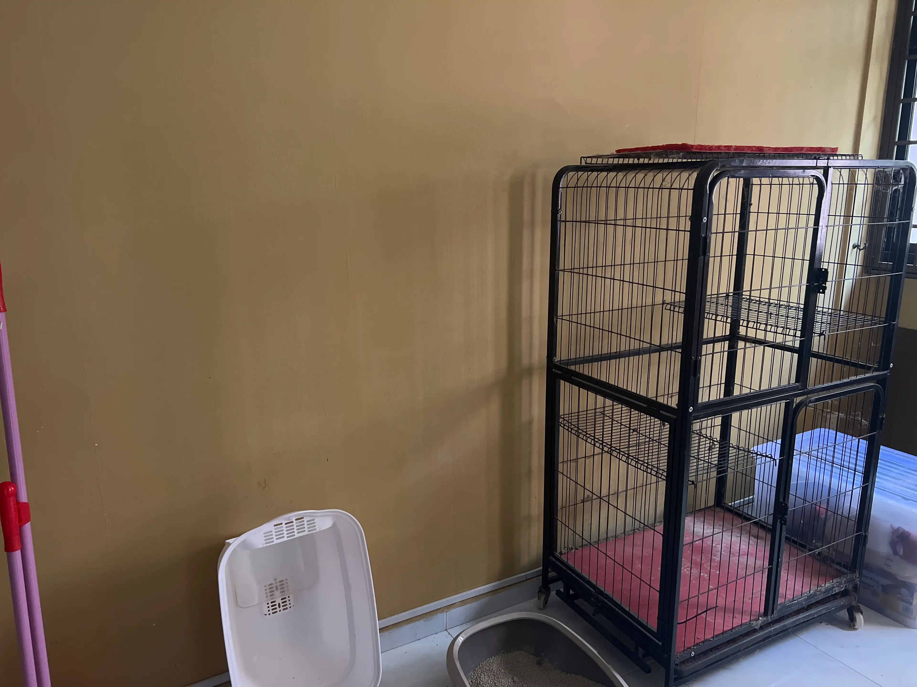 image-7