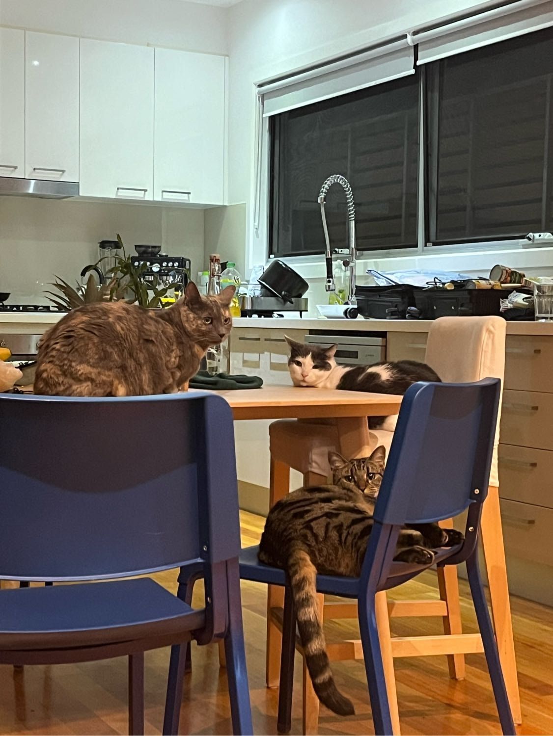 image-14