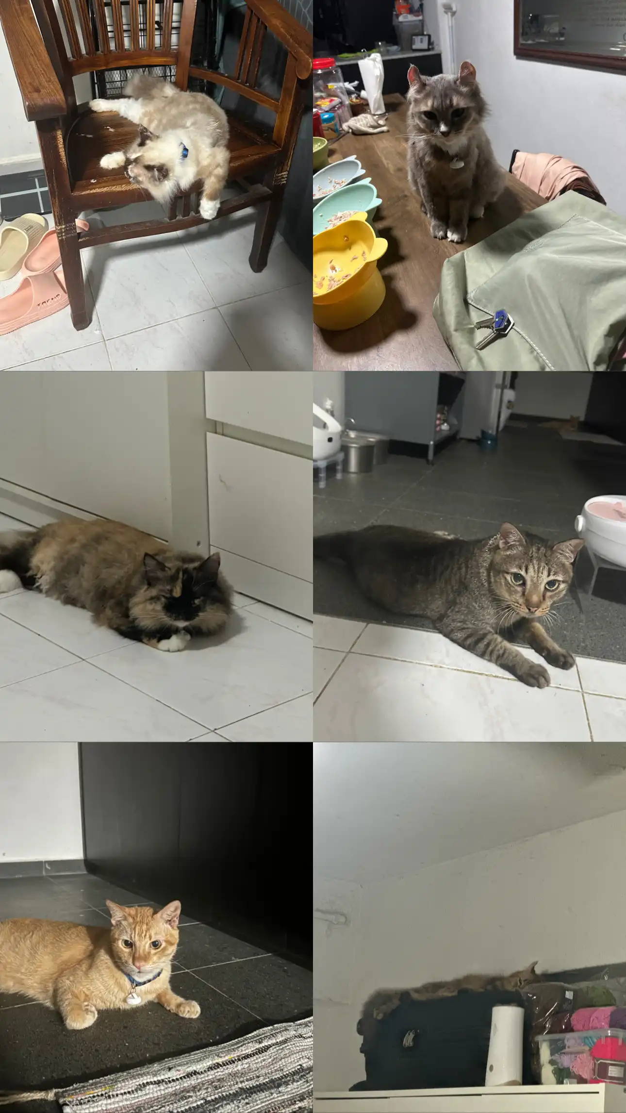 image-8