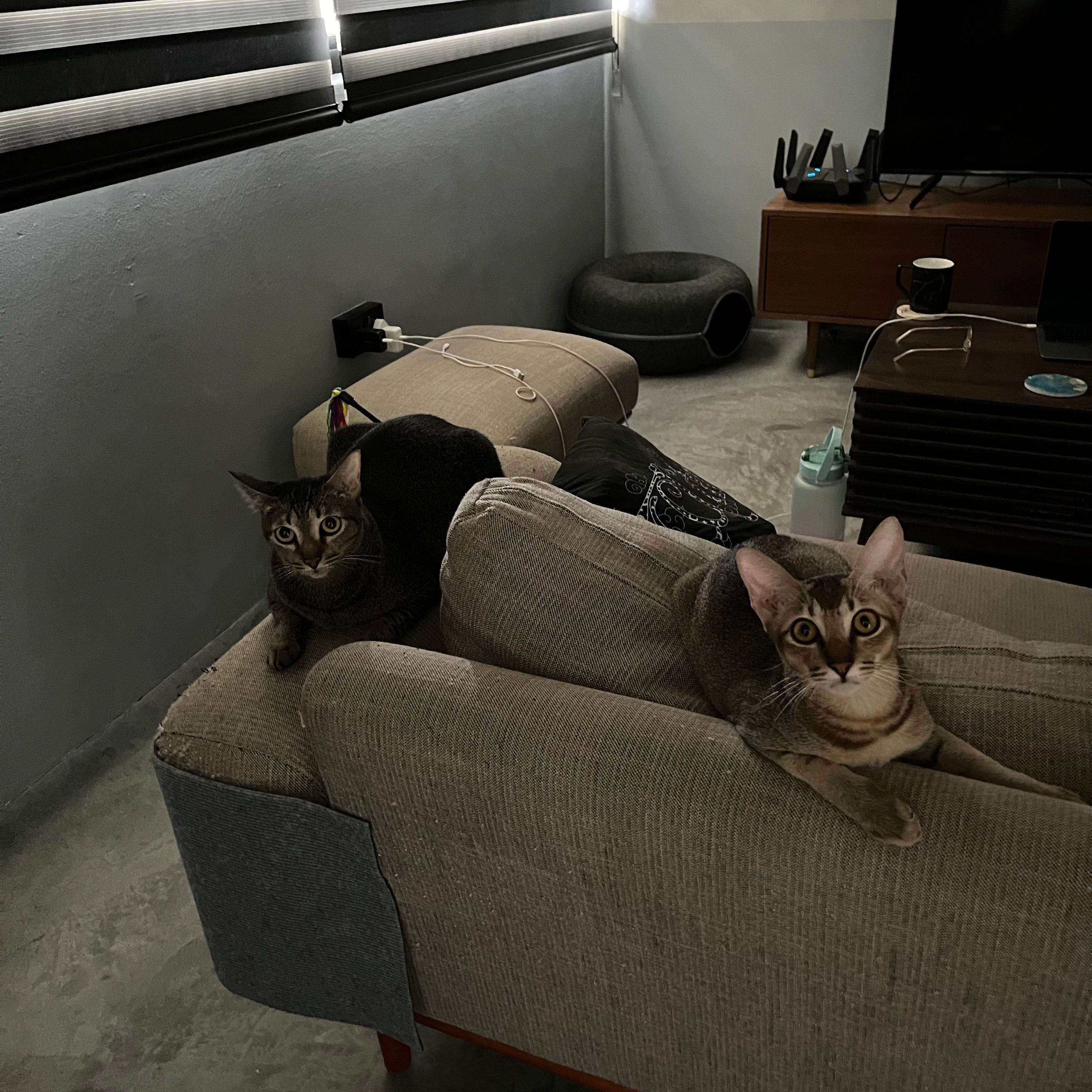 image-14