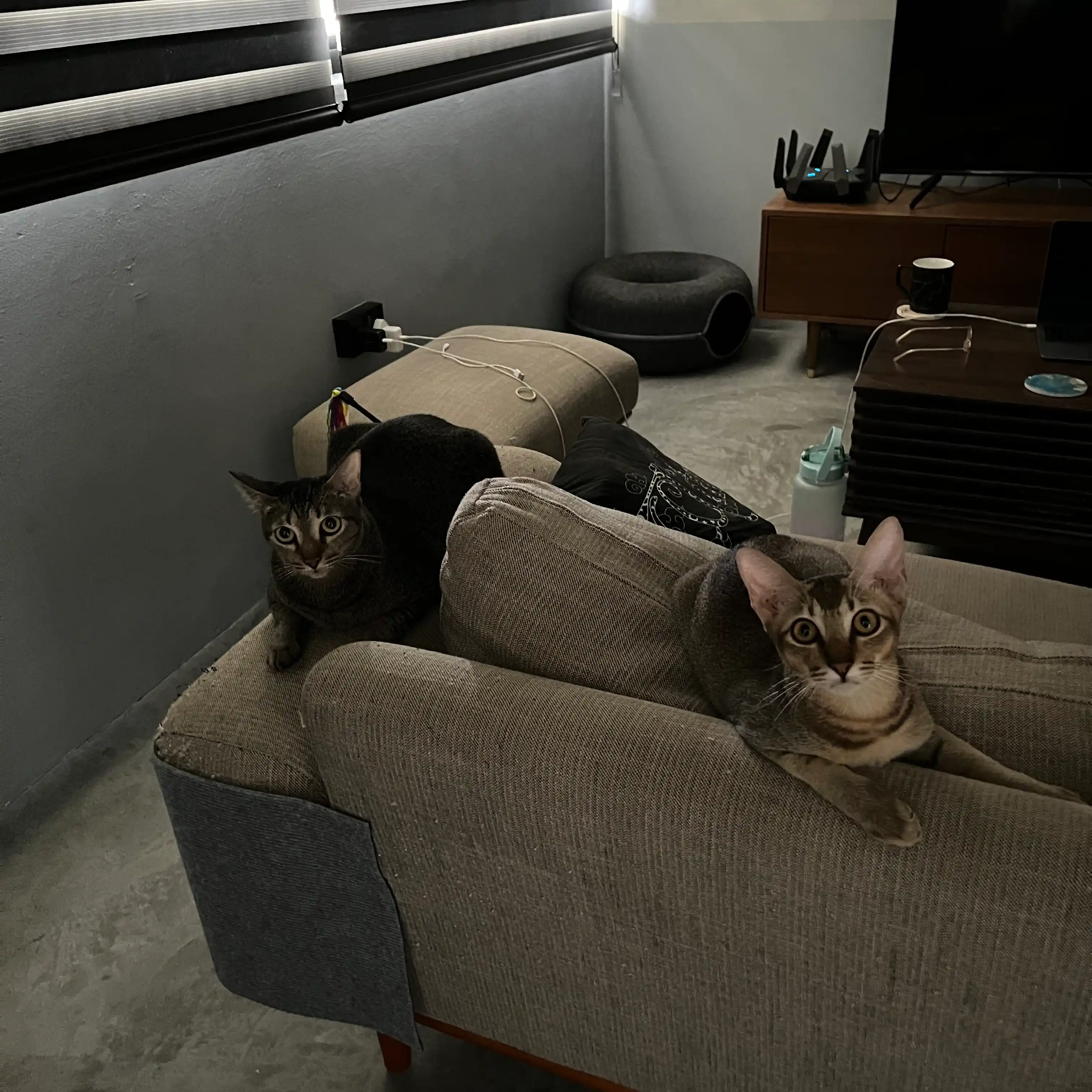 image-14