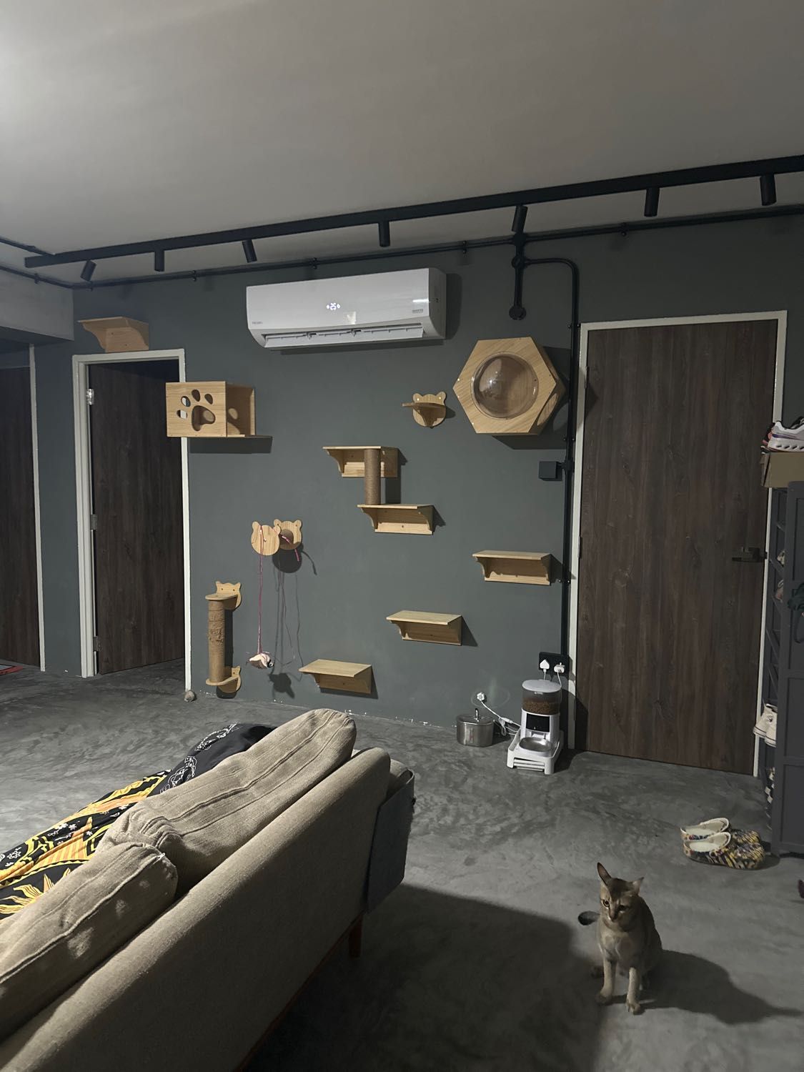 image-11