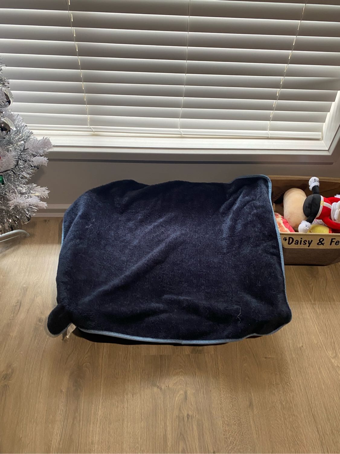 image-6