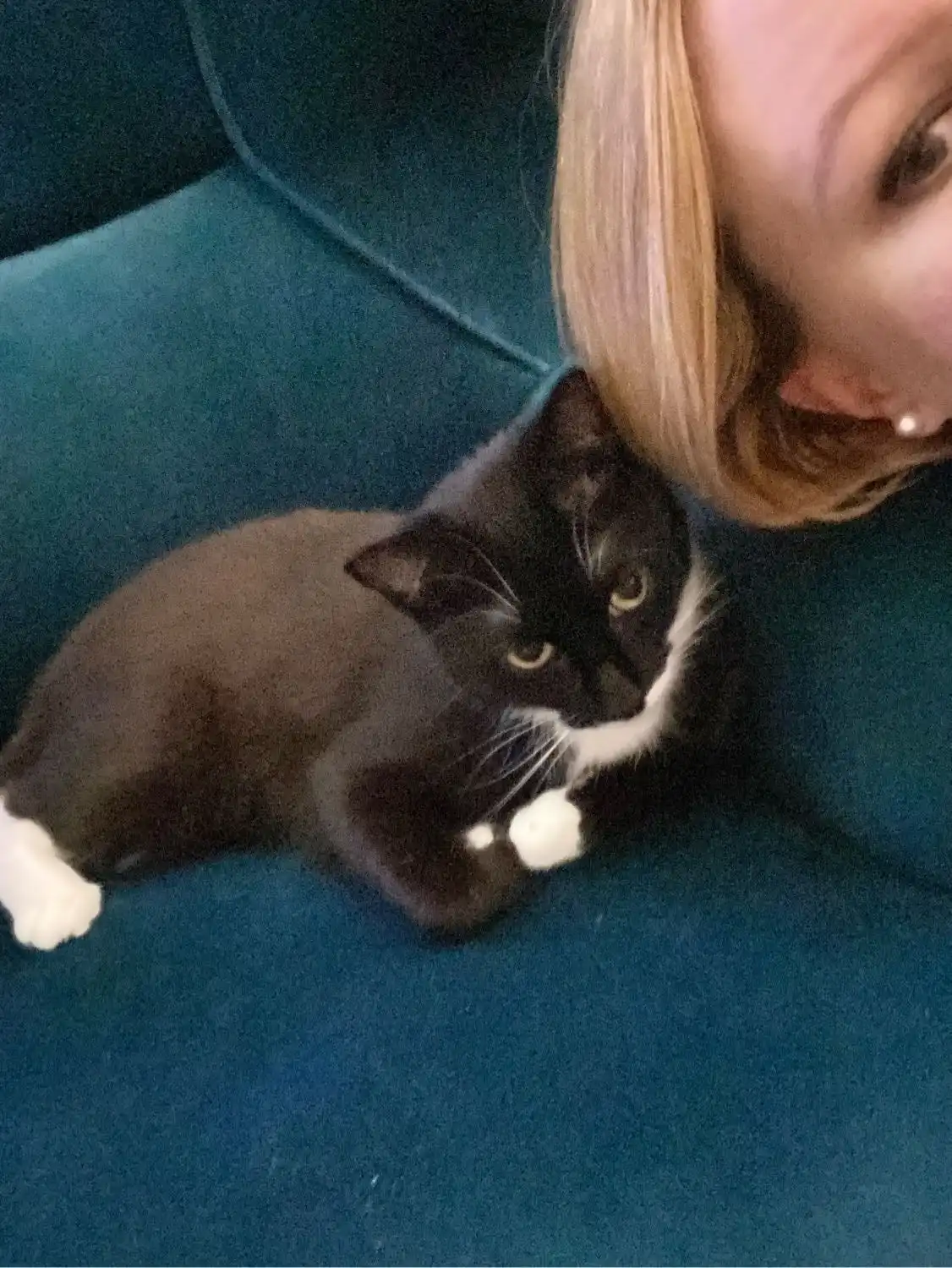 image-8