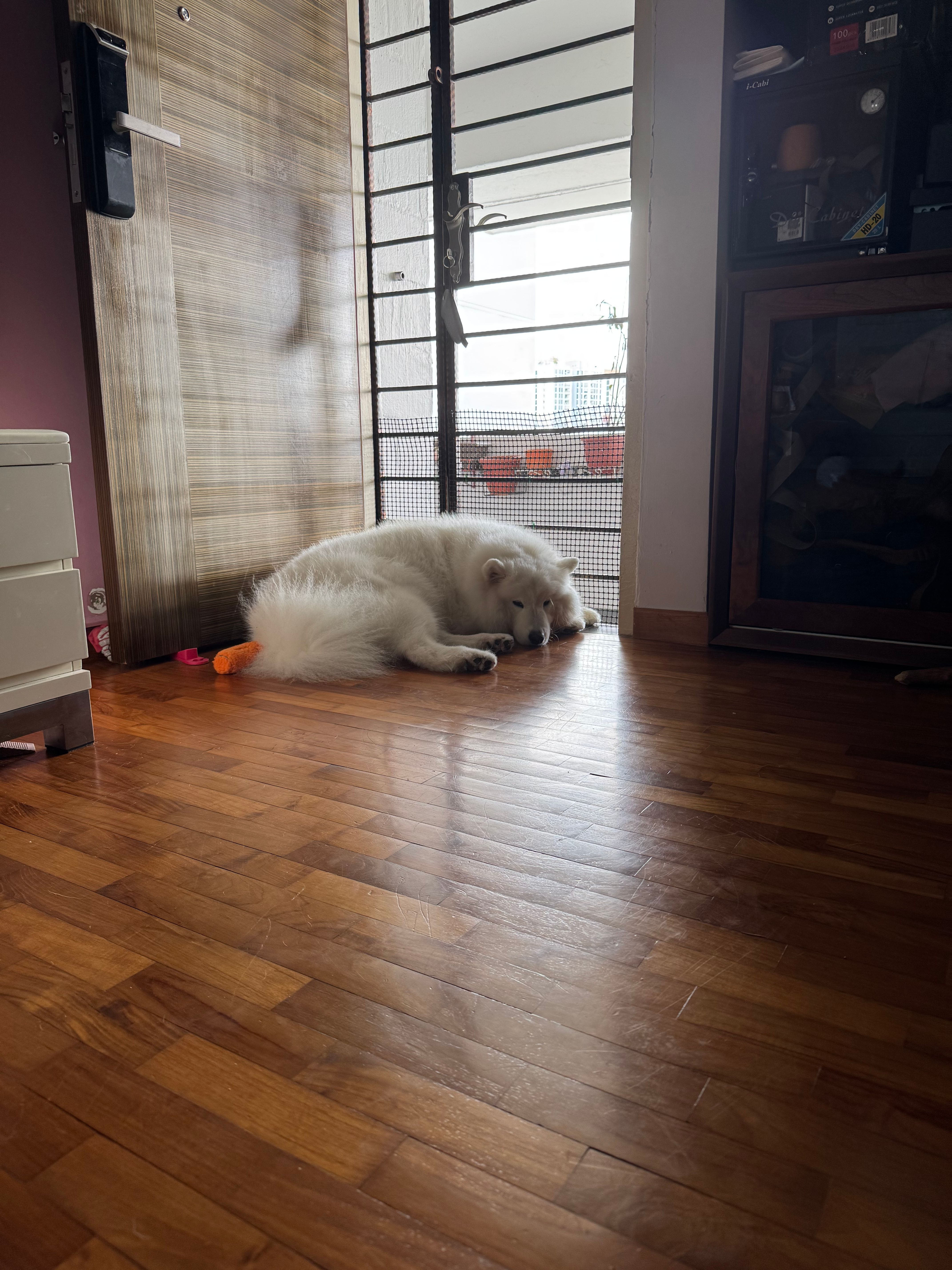 image-16