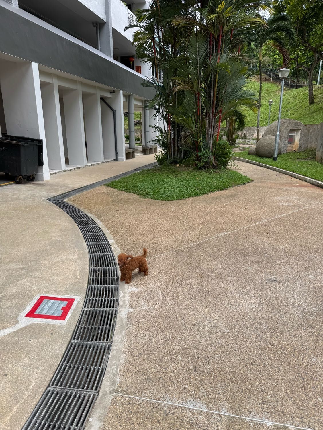 image-9