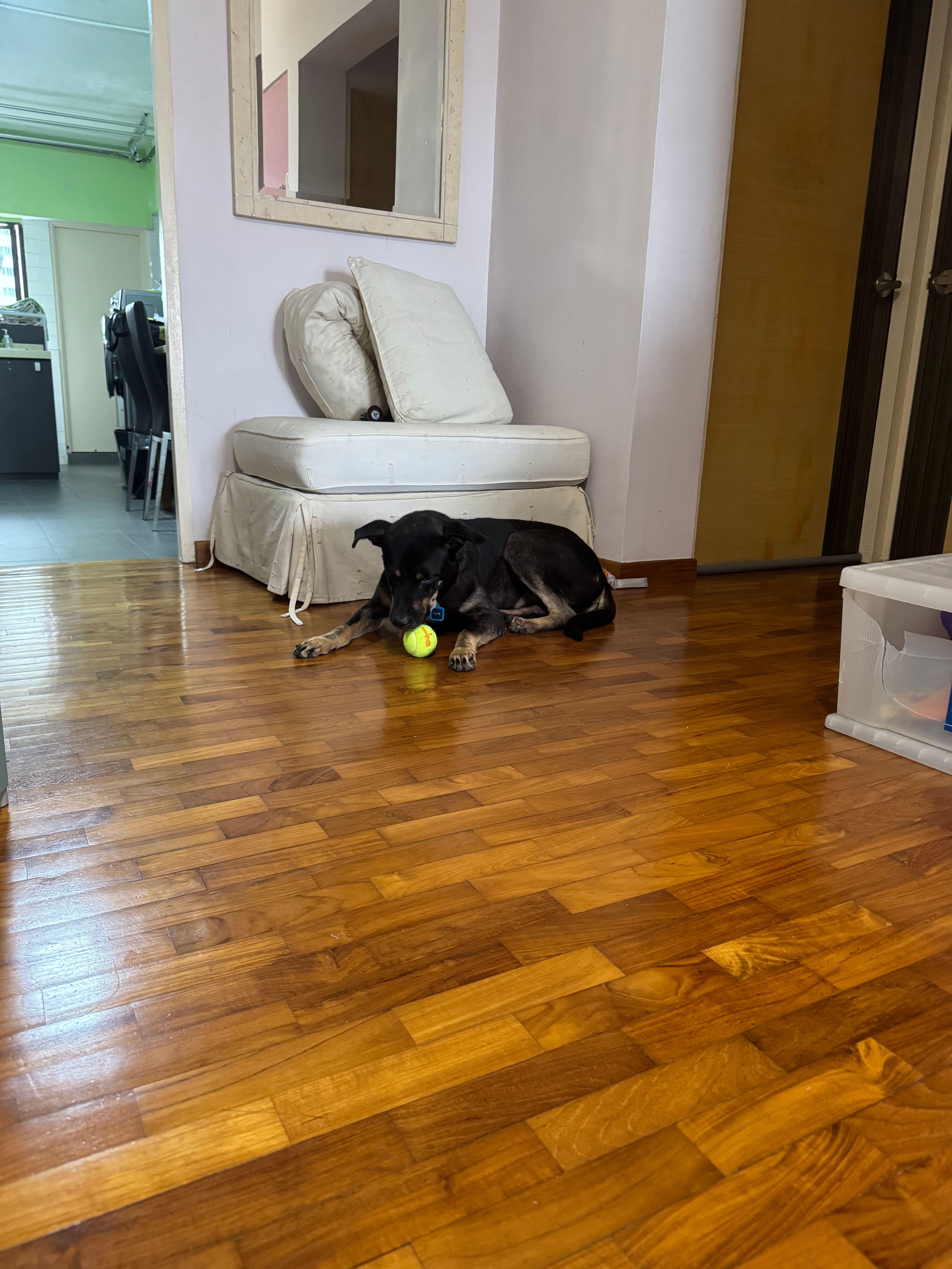 image-17