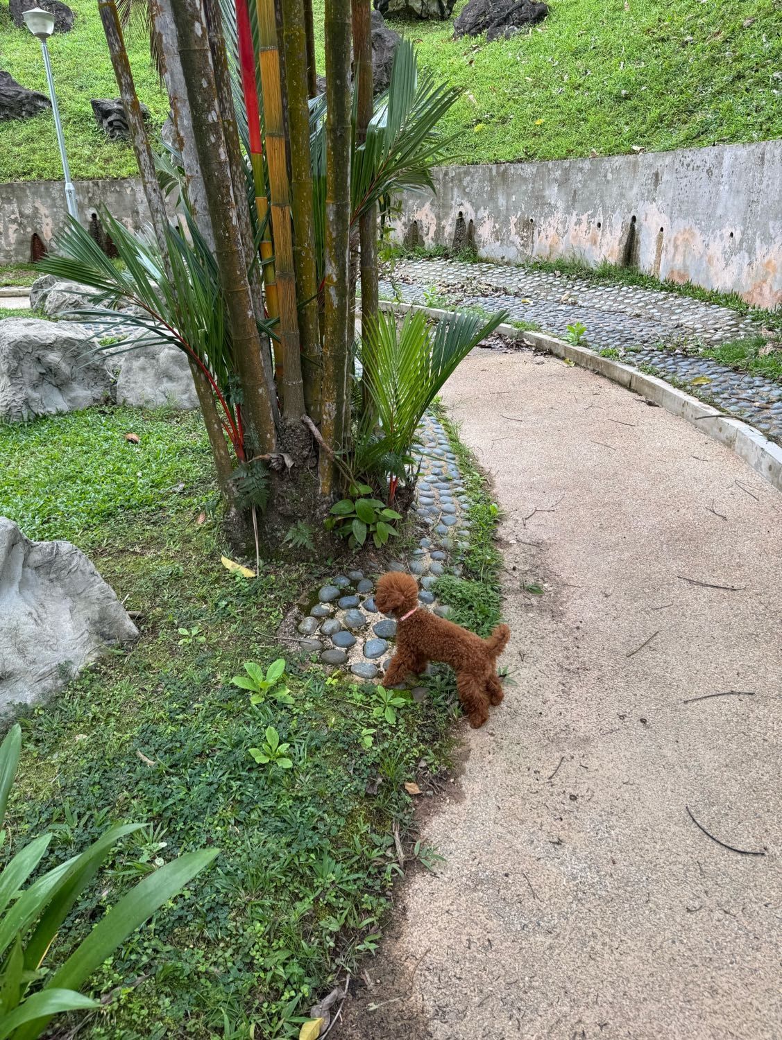 image-10