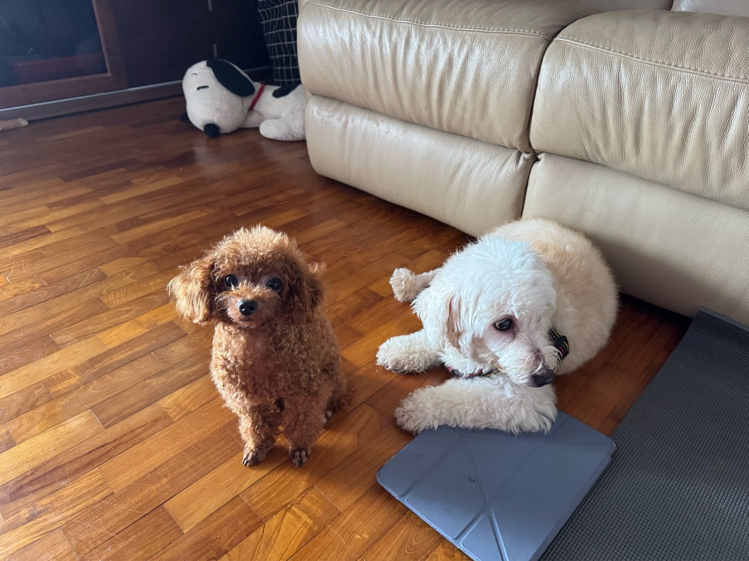 image-13