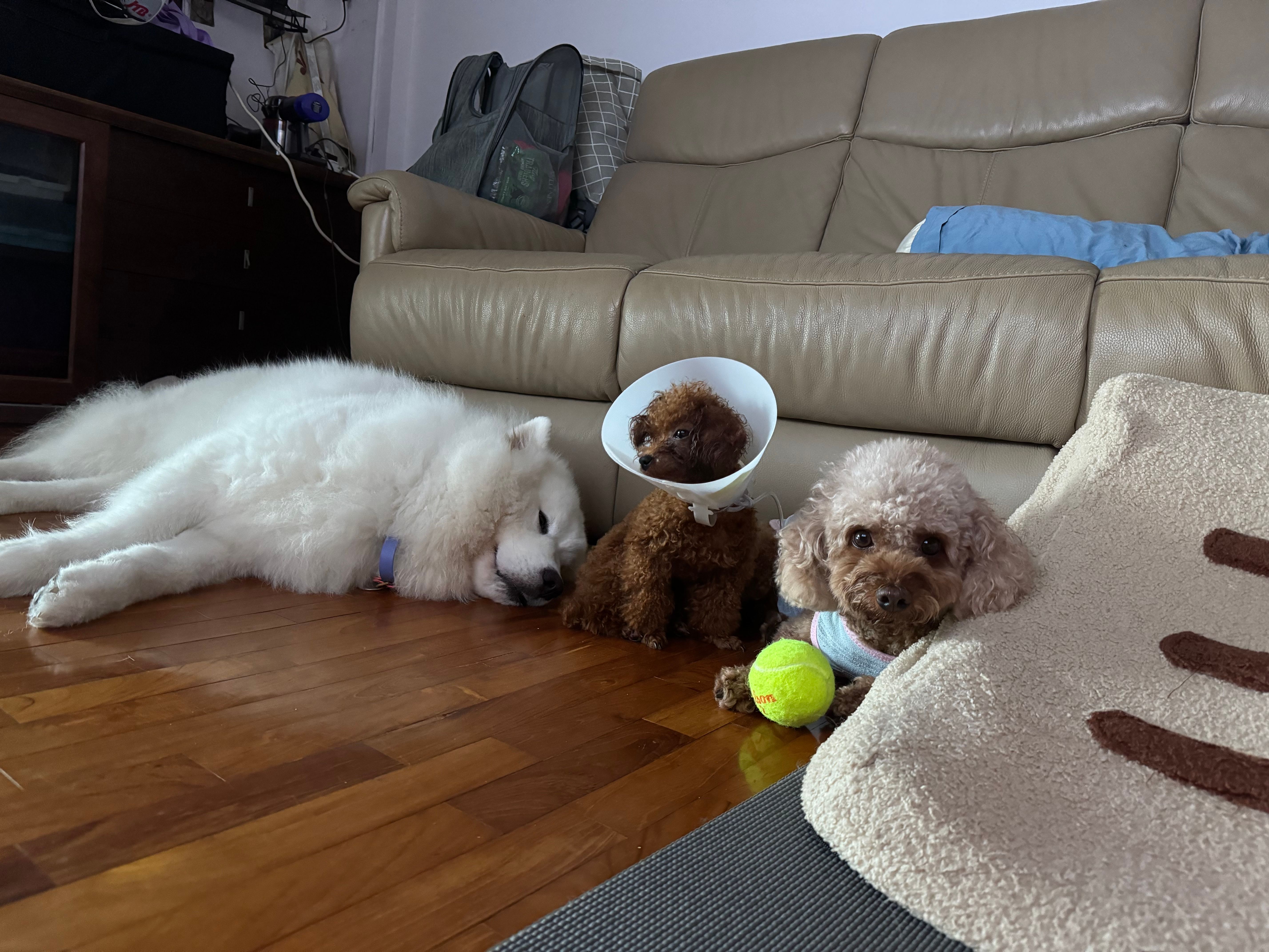 image-15