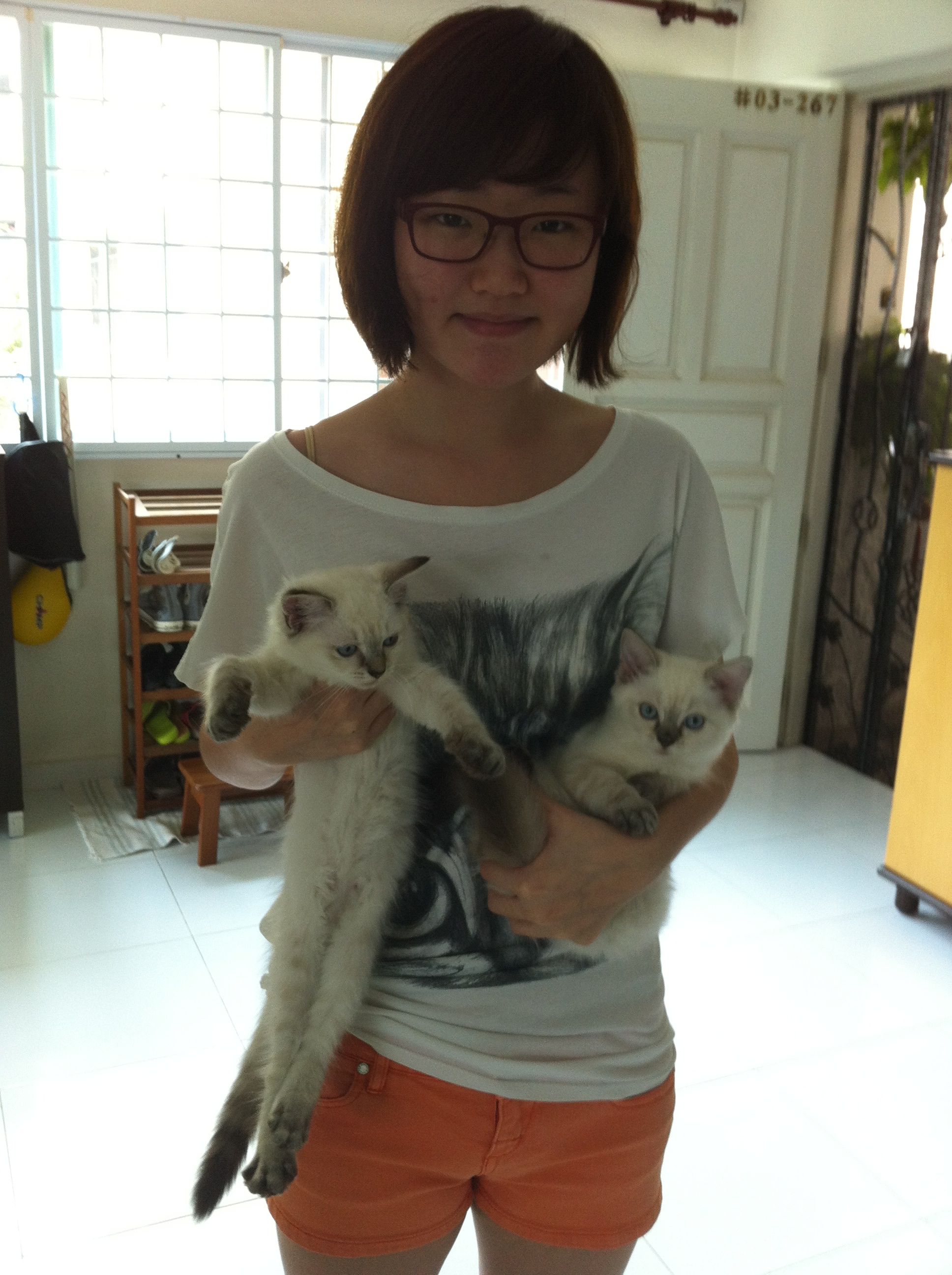 image-8