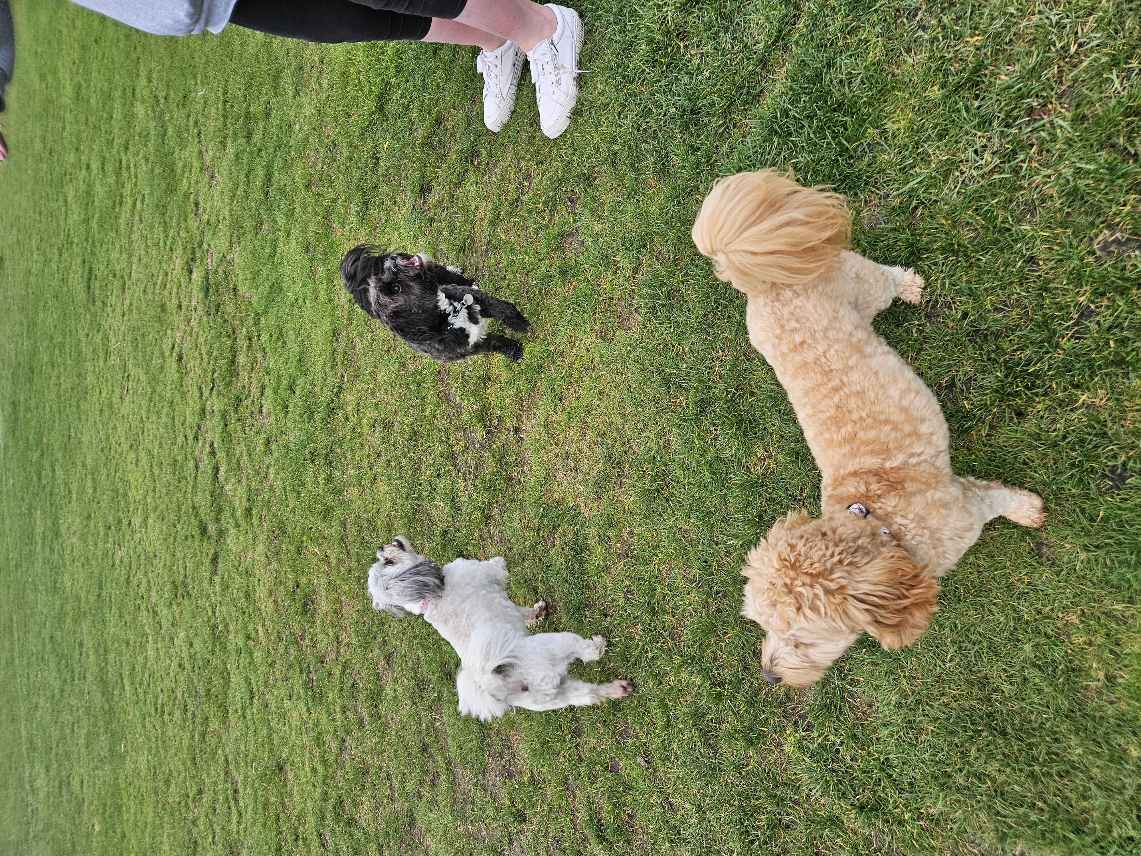 image-3