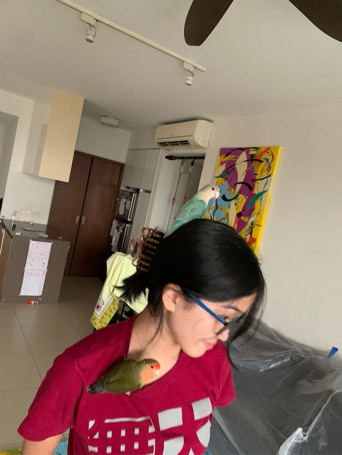 image-6