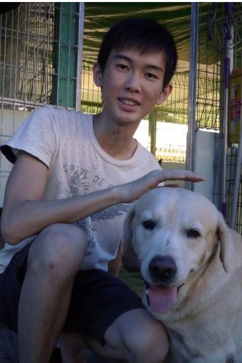 image-7