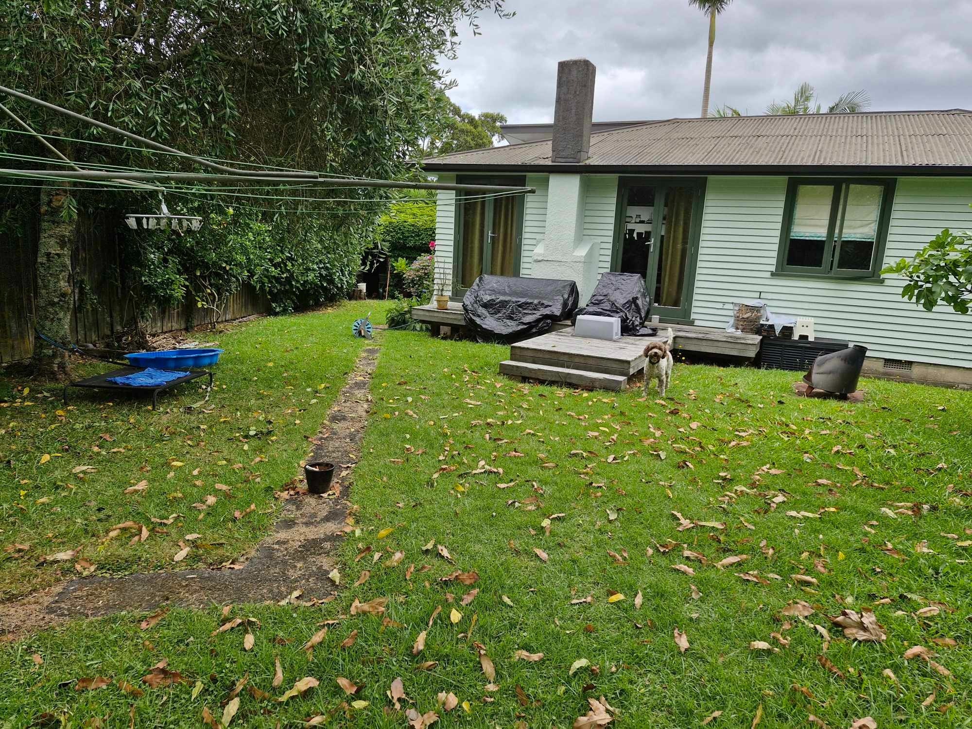 image-18