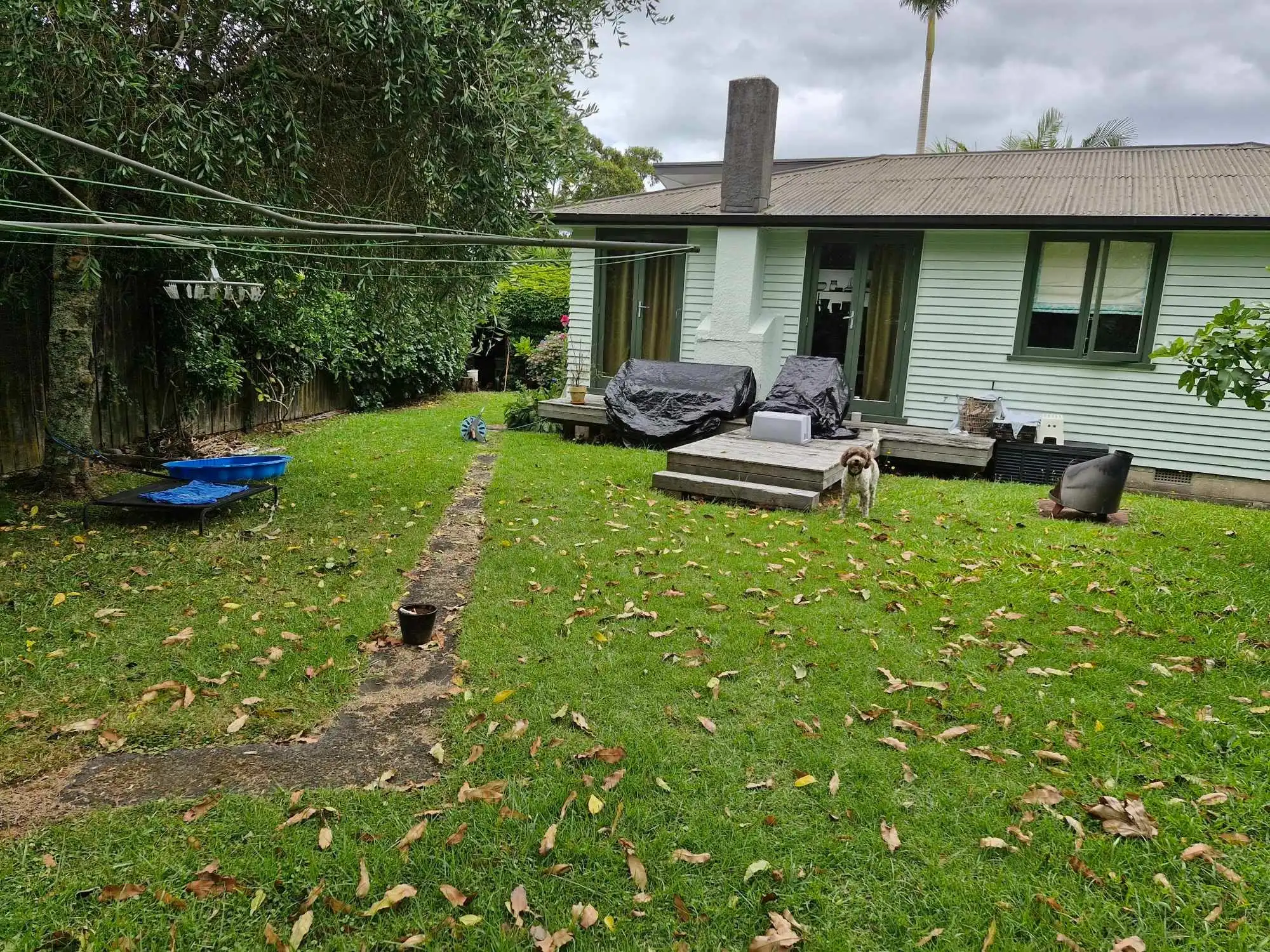 image-18