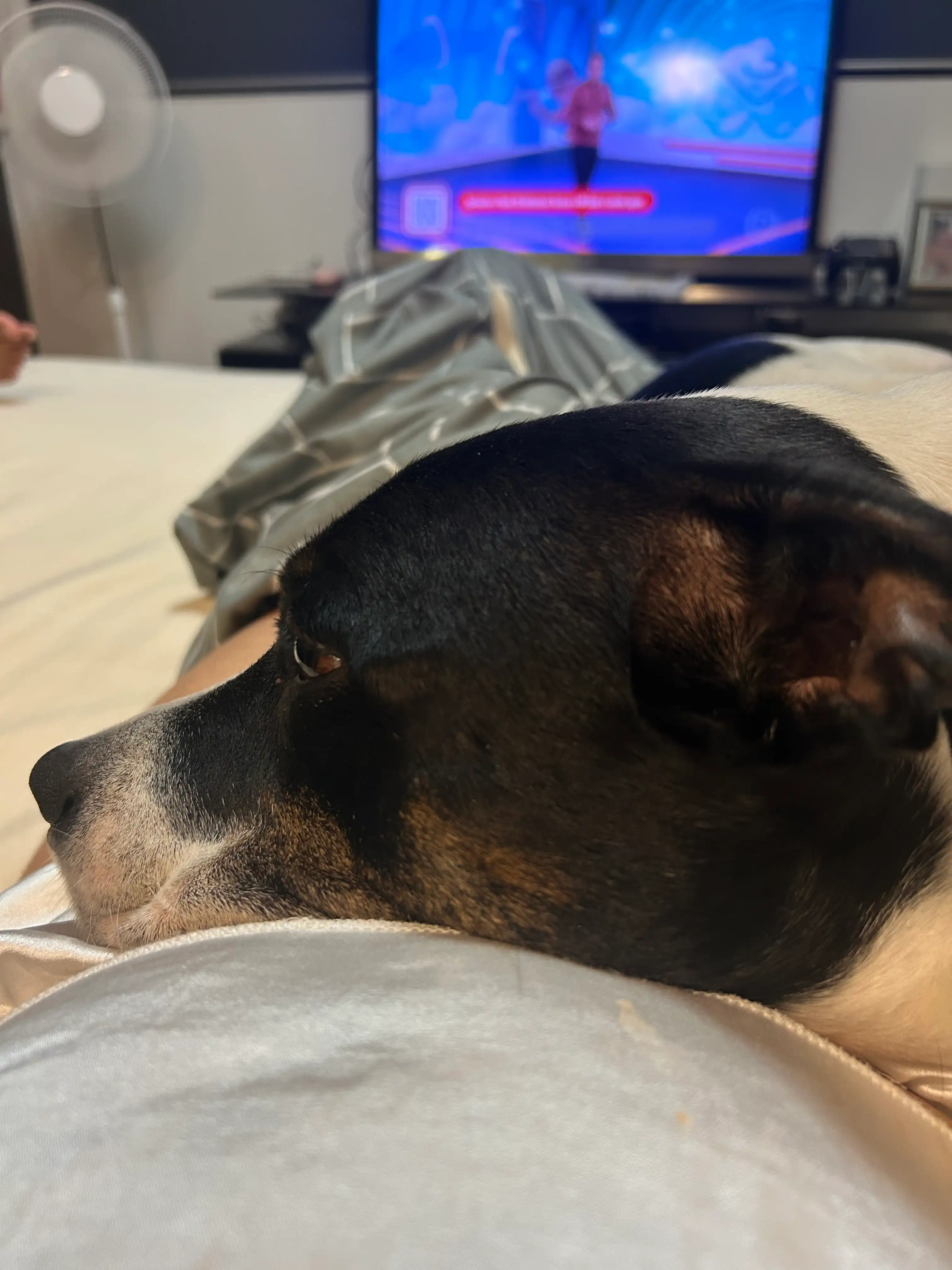 image-6